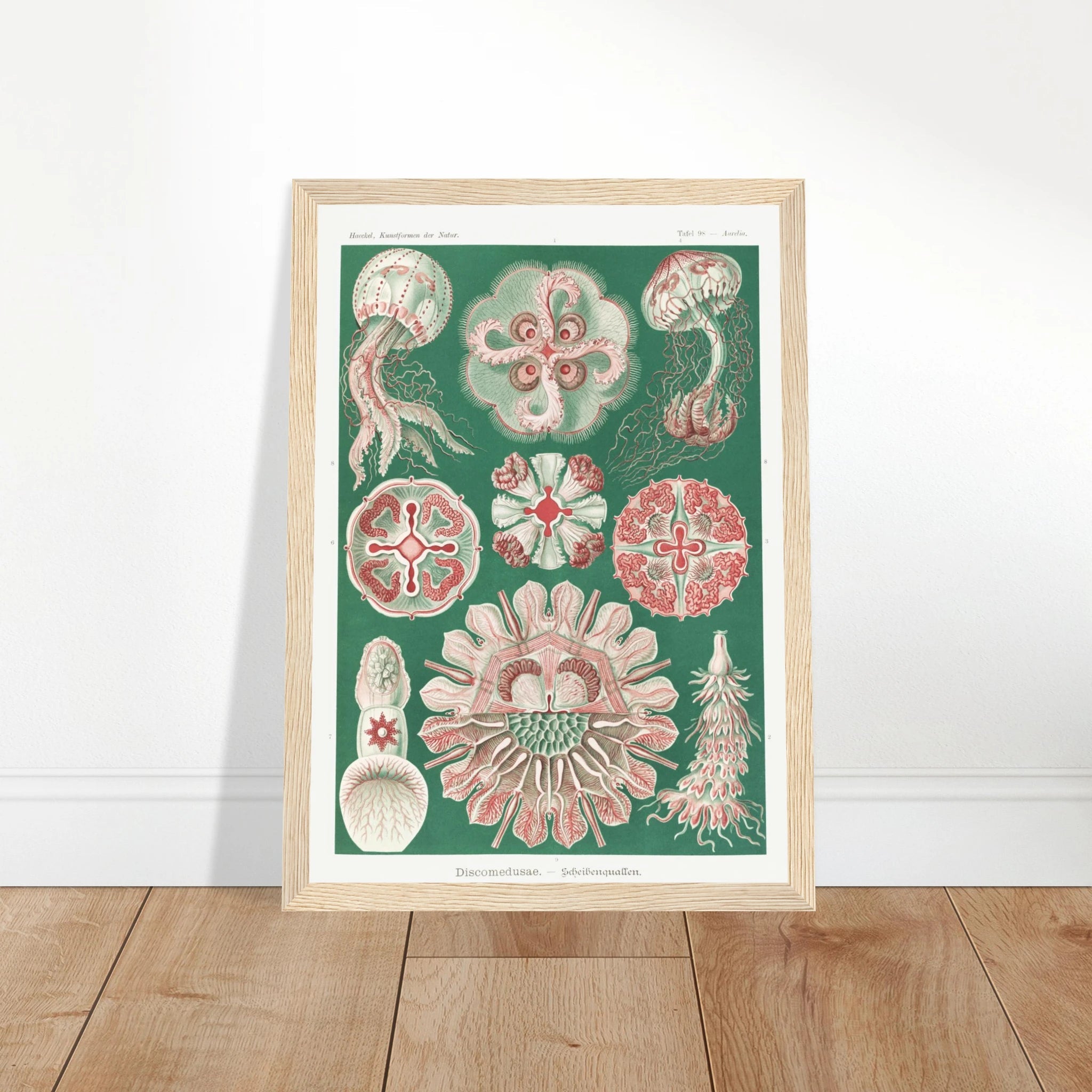 1f61b072-a92f-4285-9729-1a0deb35bf25