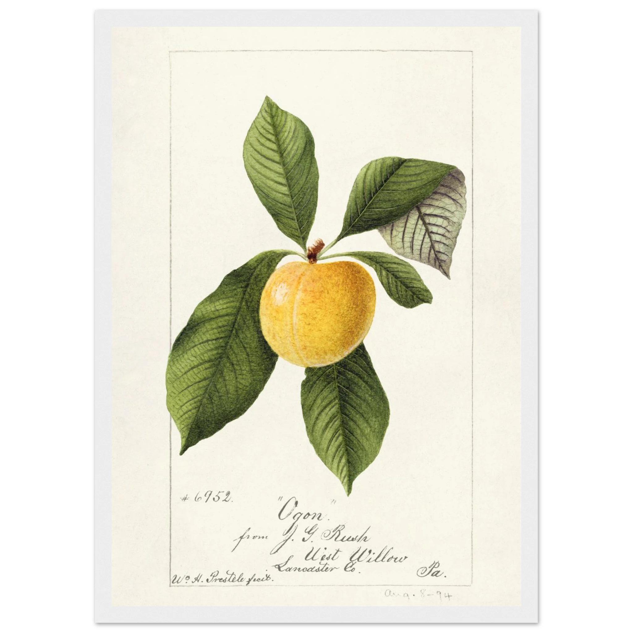 1f6bfb7a-e31e-4982-8124-90d386b3132a