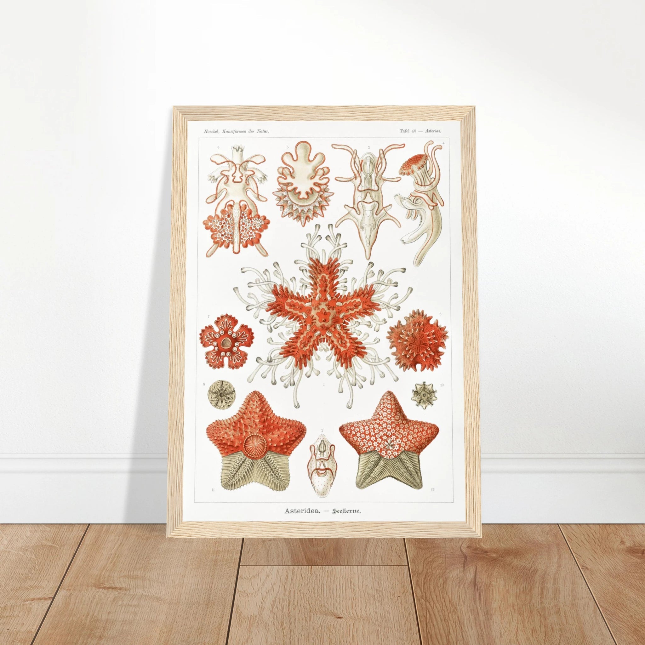 1f6f1f04-2bc4-432b-b780-92b1d73eb220