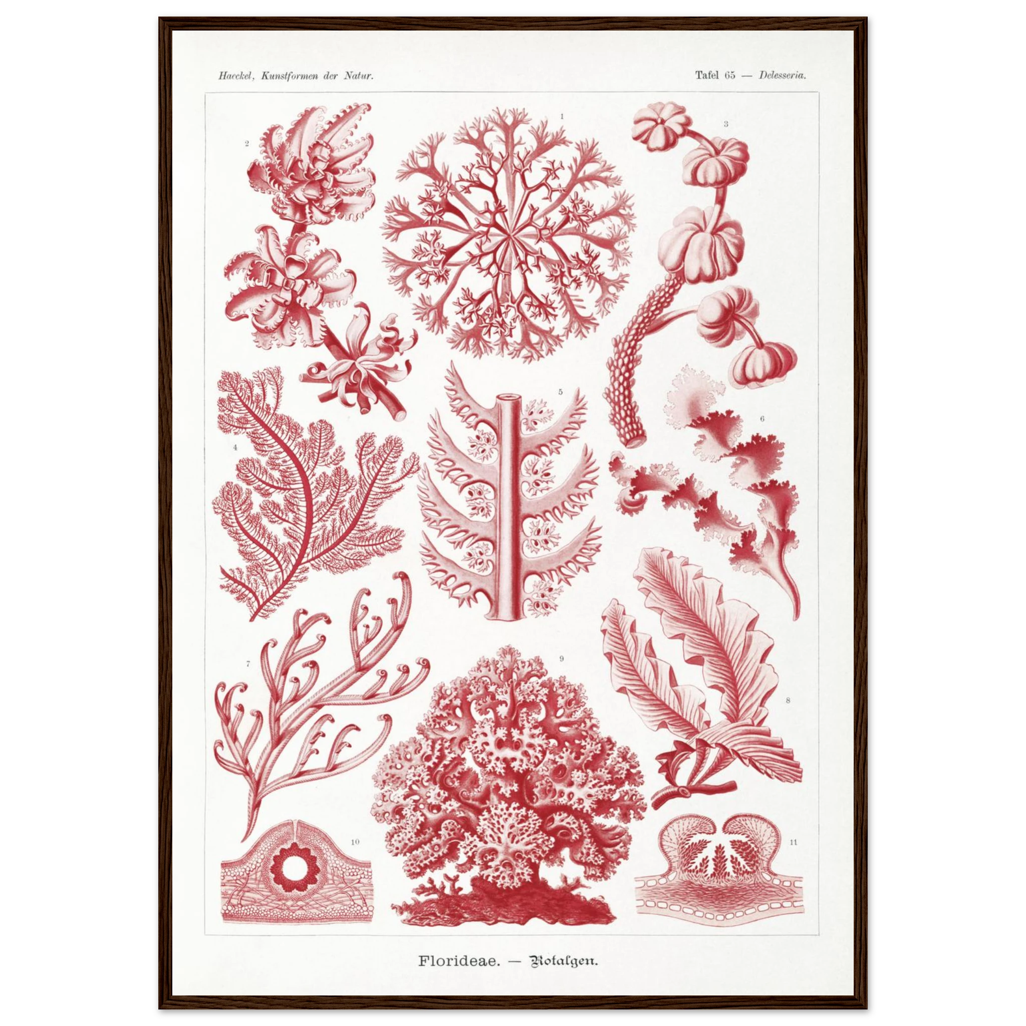 1fa0bcf7-bbb4-4c01-b521-503a57164852