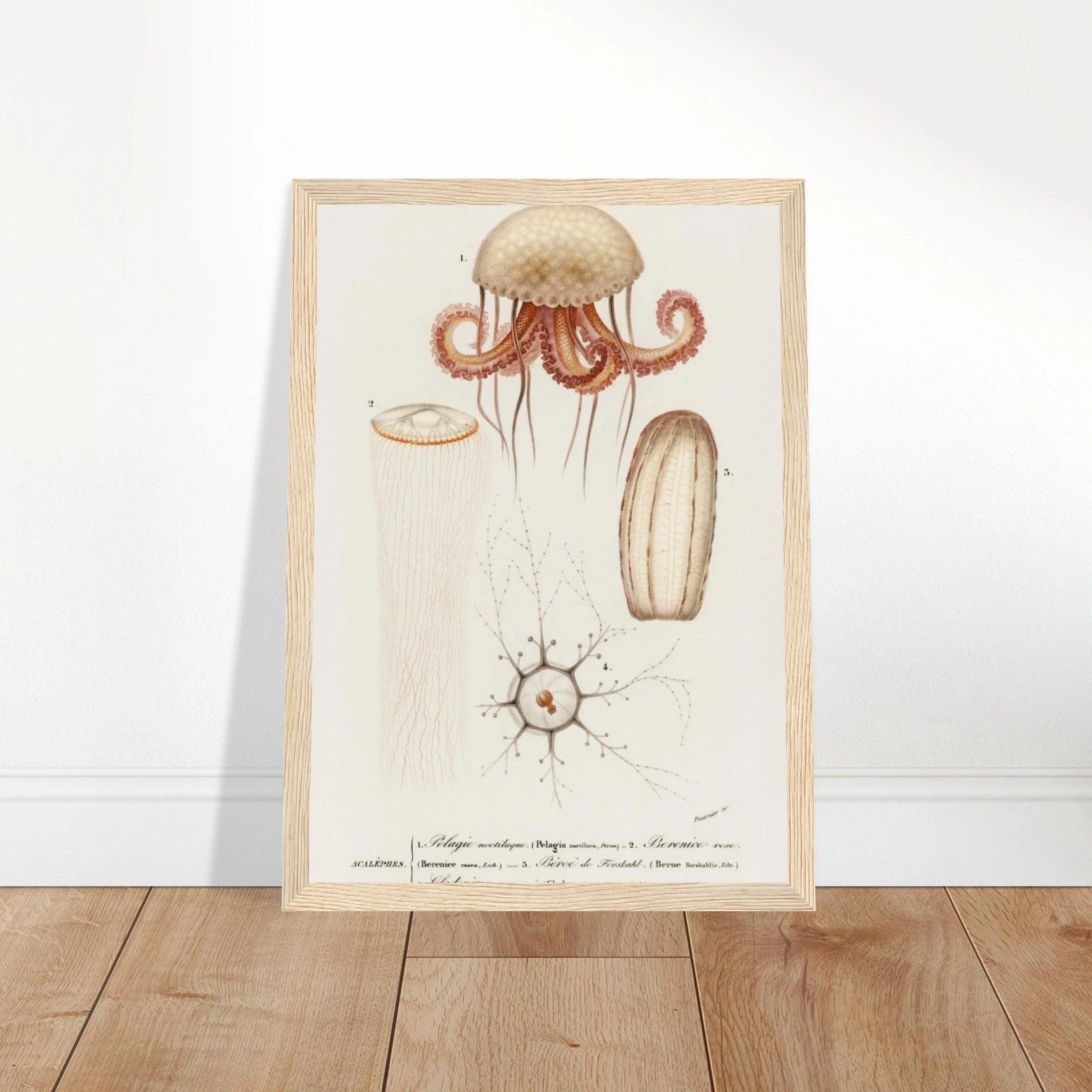 1fafb766-f464-4f50-b417-427fea60ce2b