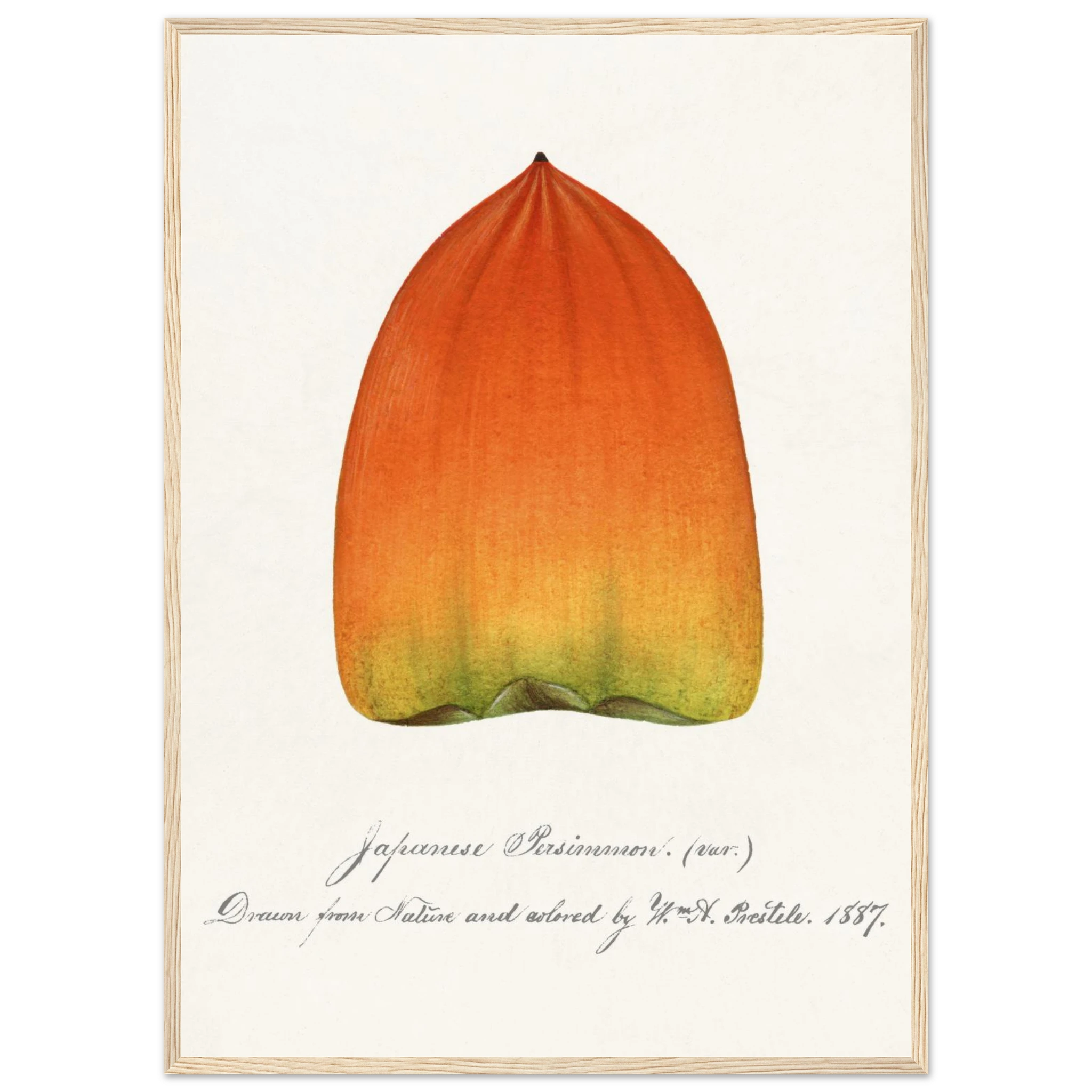 1fb80b1e-5a81-4832-b656-33fa815f4e86