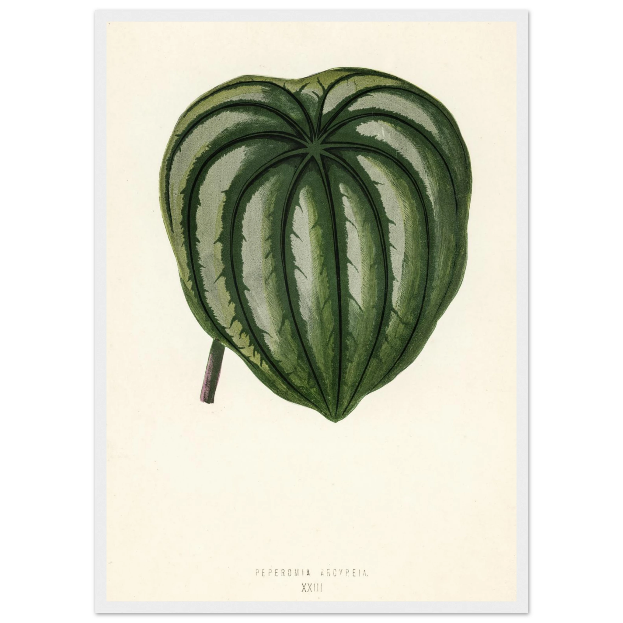 1fe5283b-1eb9-4530-a5f2-1af26a0bcbdf