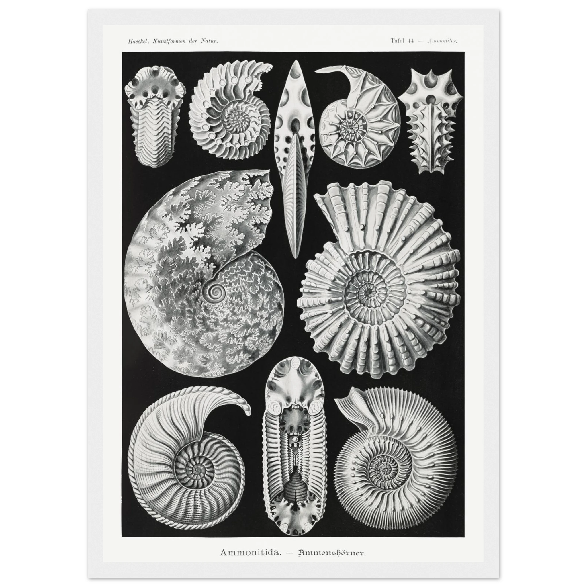 1ff7be78-f3a7-460c-869b-2e36ca3639c0