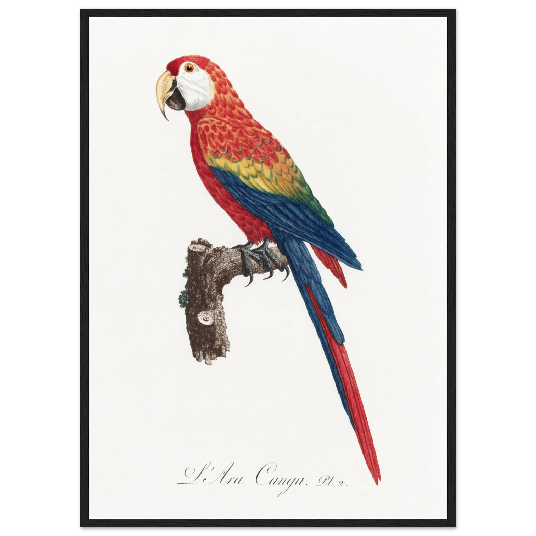 20643028-a1d2-4fcf-8d29-52c327317546