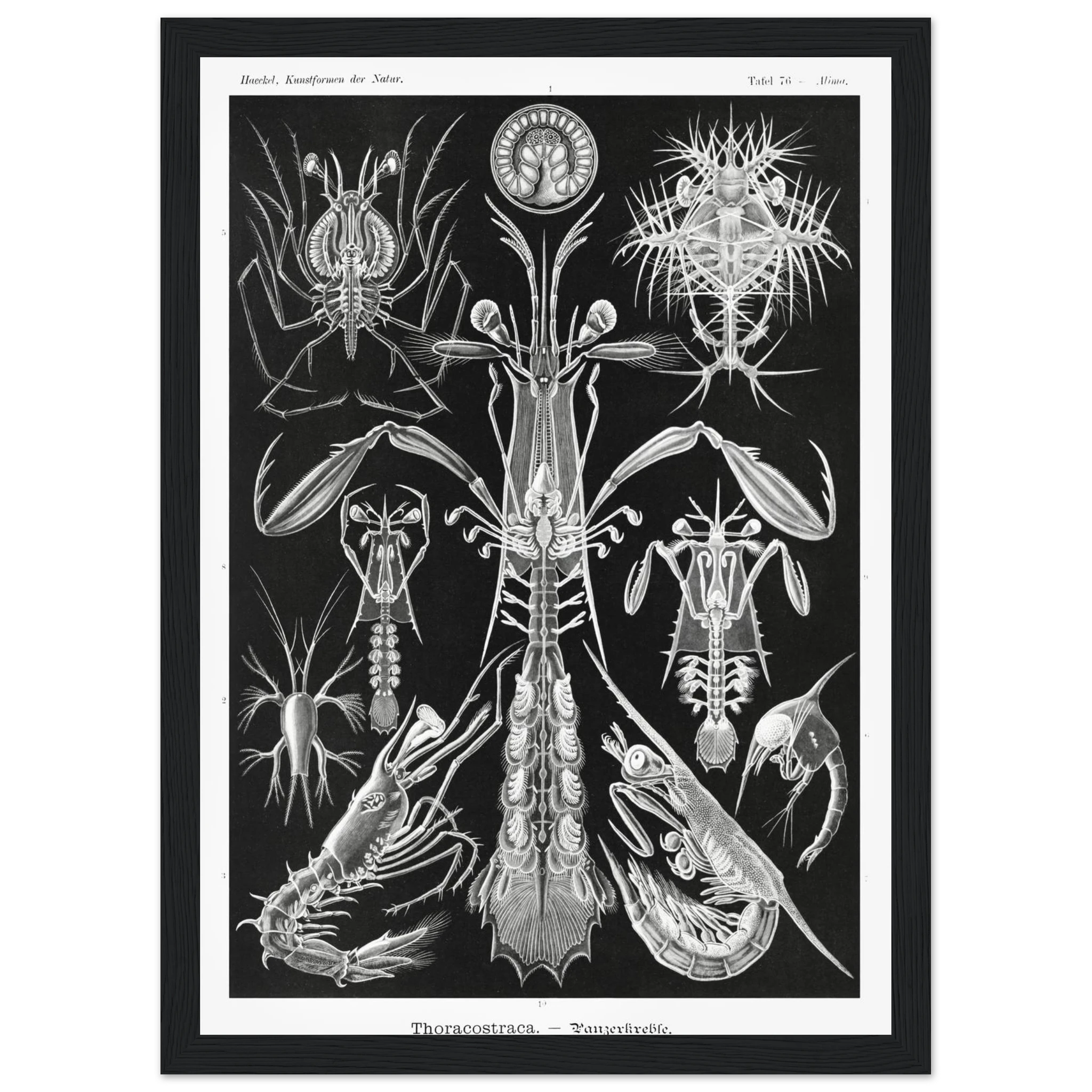 20b147f2-7685-44b7-96d3-f15b15d32290