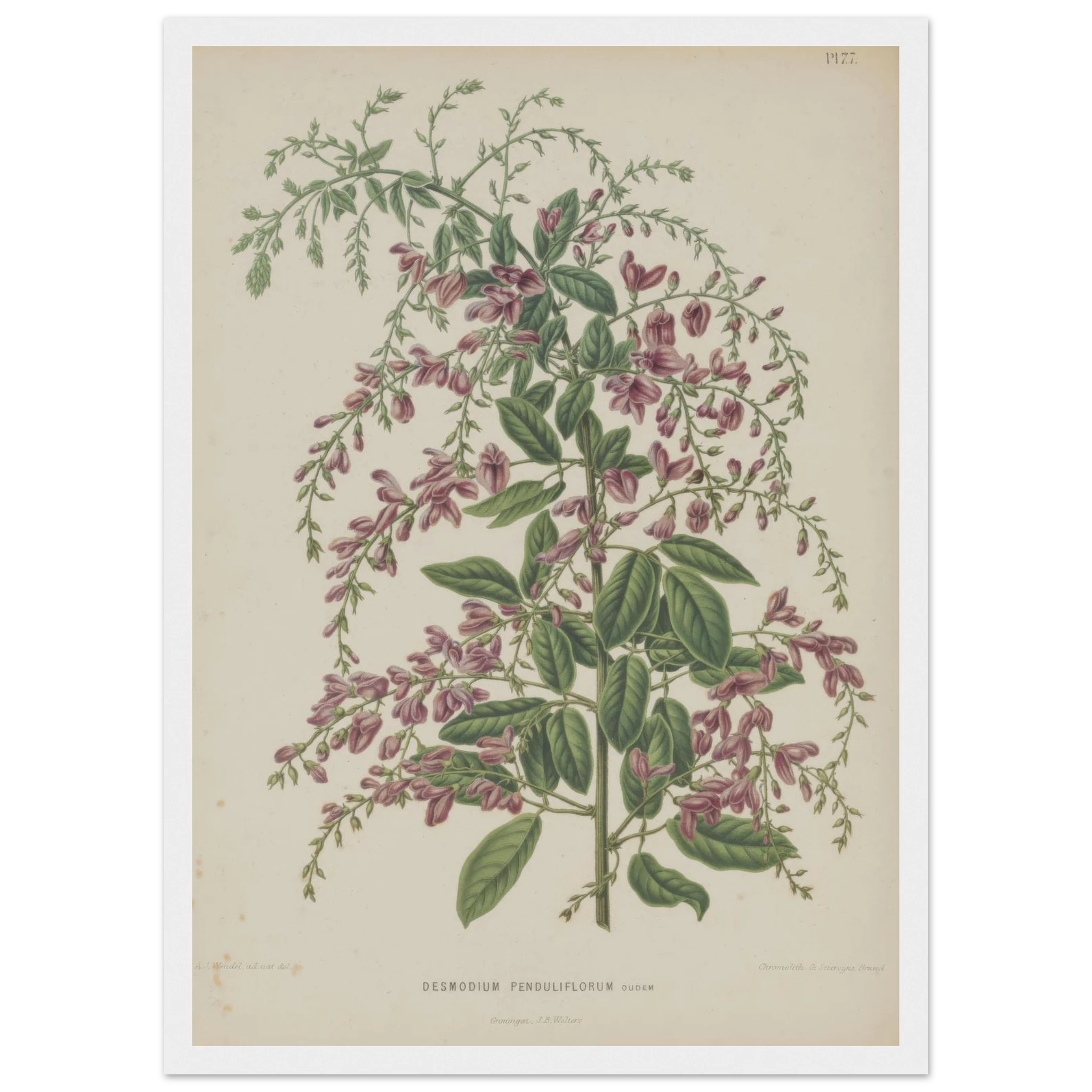 20b6a93f-c459-4f60-a038-e38337384cb2