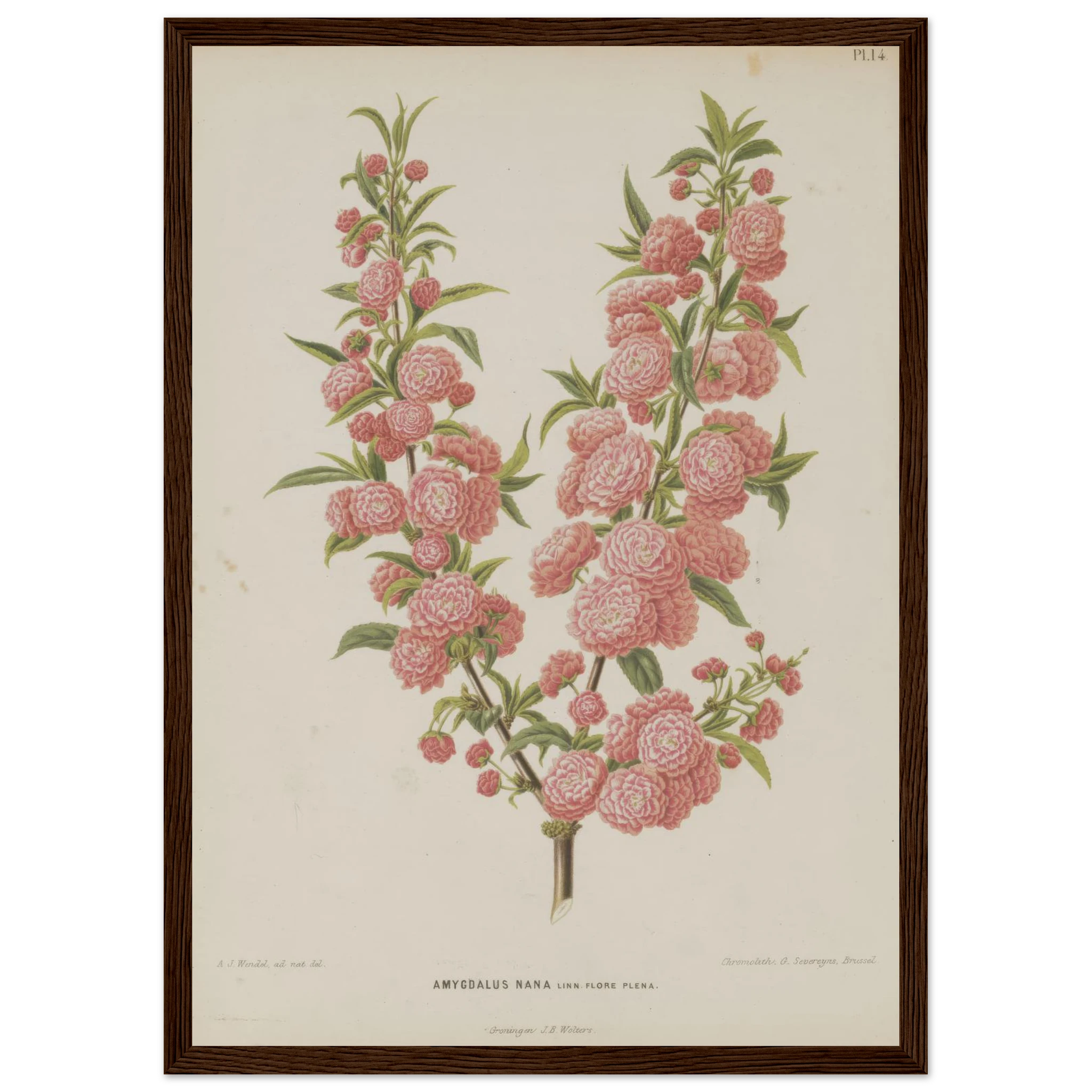 20d1dcd8-6304-4337-8020-4e86119ae407