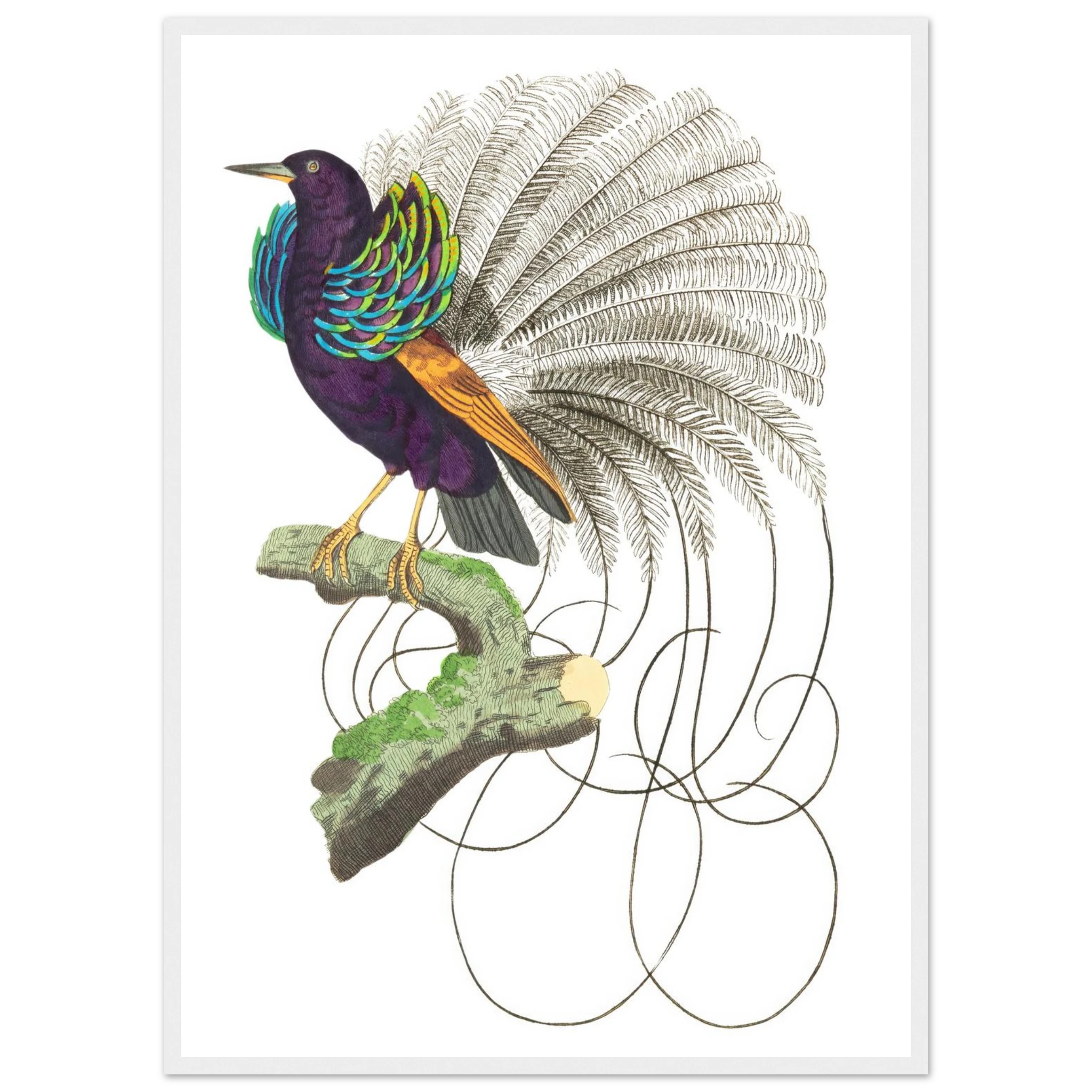 20dc6f48-d835-4293-800e-6409a3b532a6