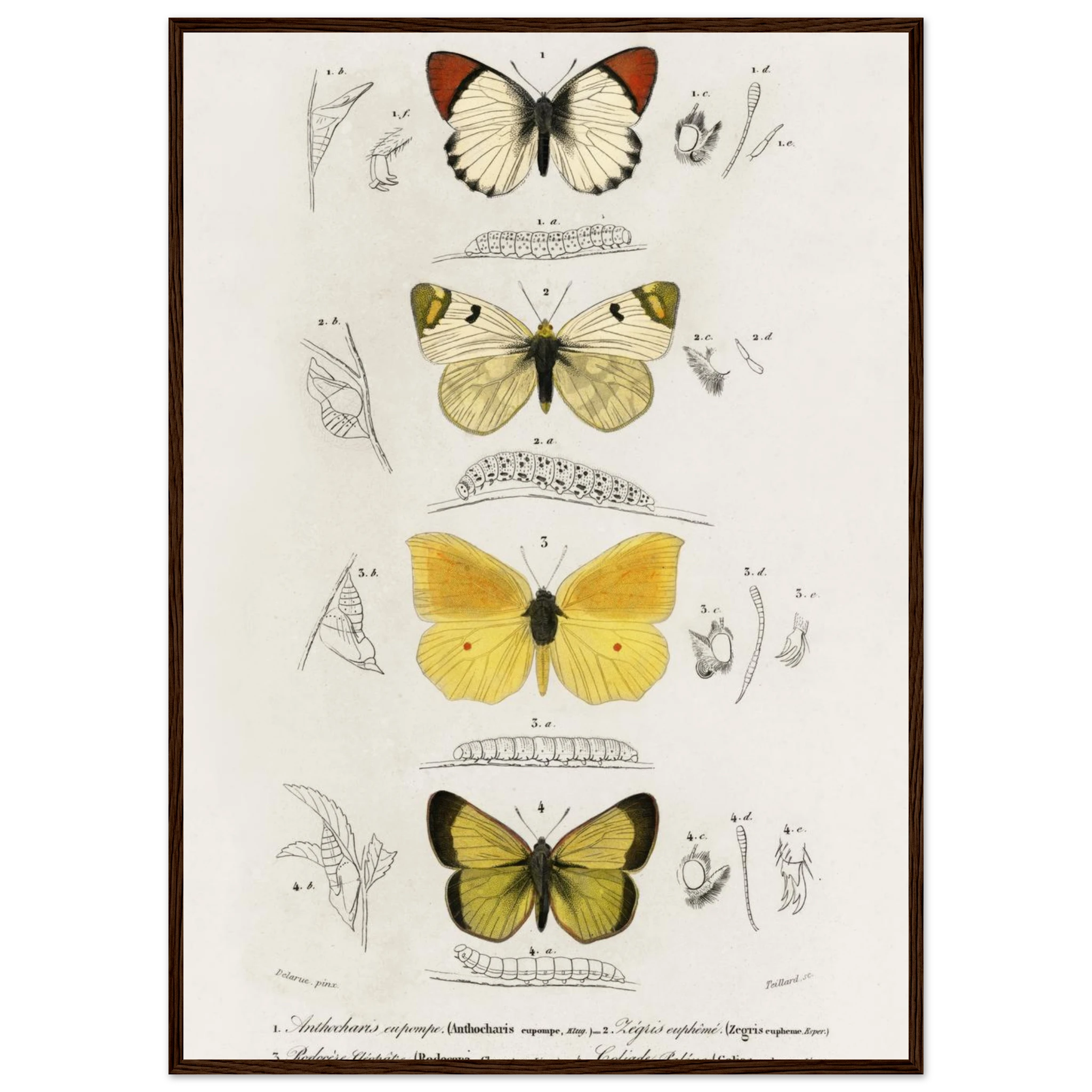 20fc050b-5390-49d9-b23f-df40af635215