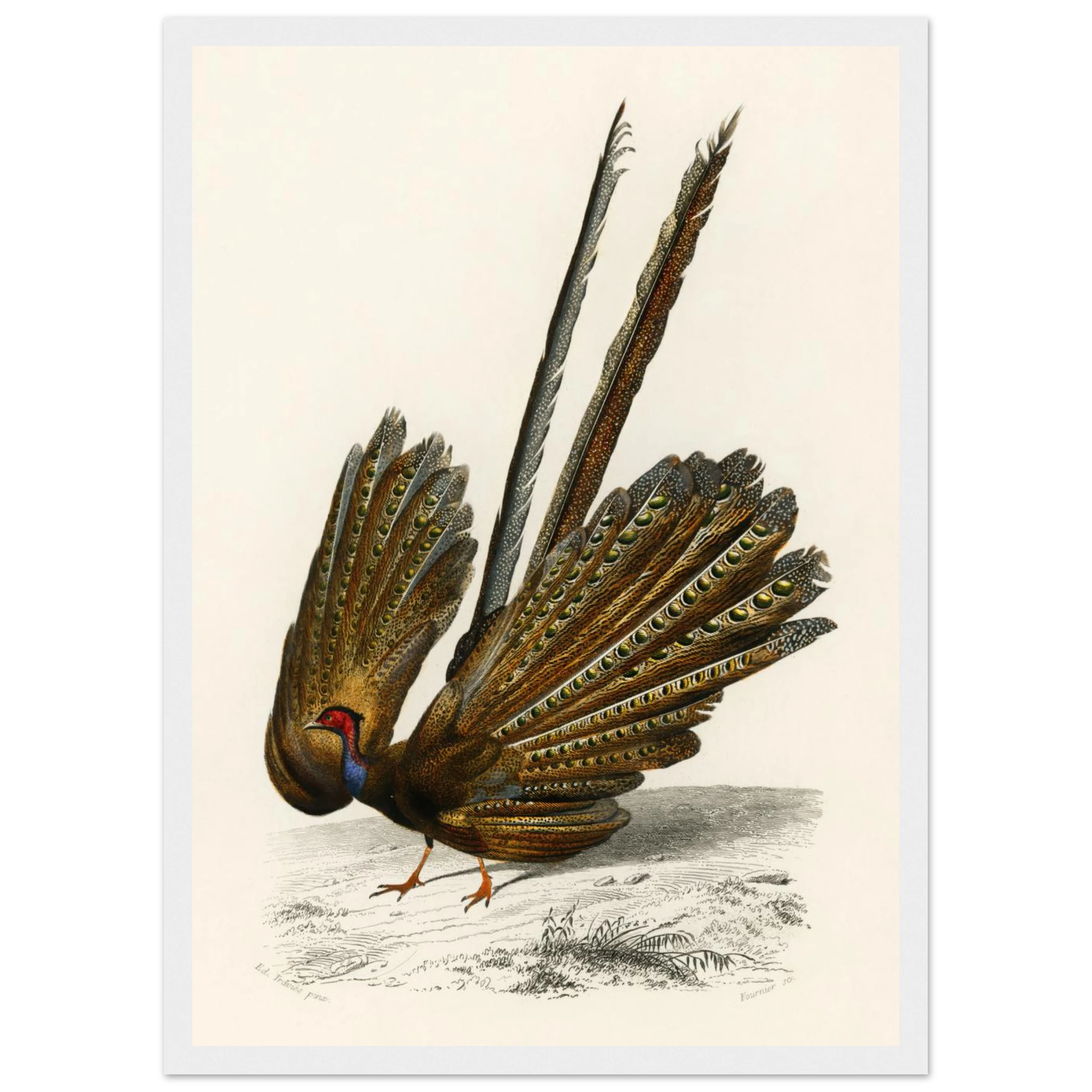 20fdac97-fdbe-4dbc-8954-c4a9774bd150