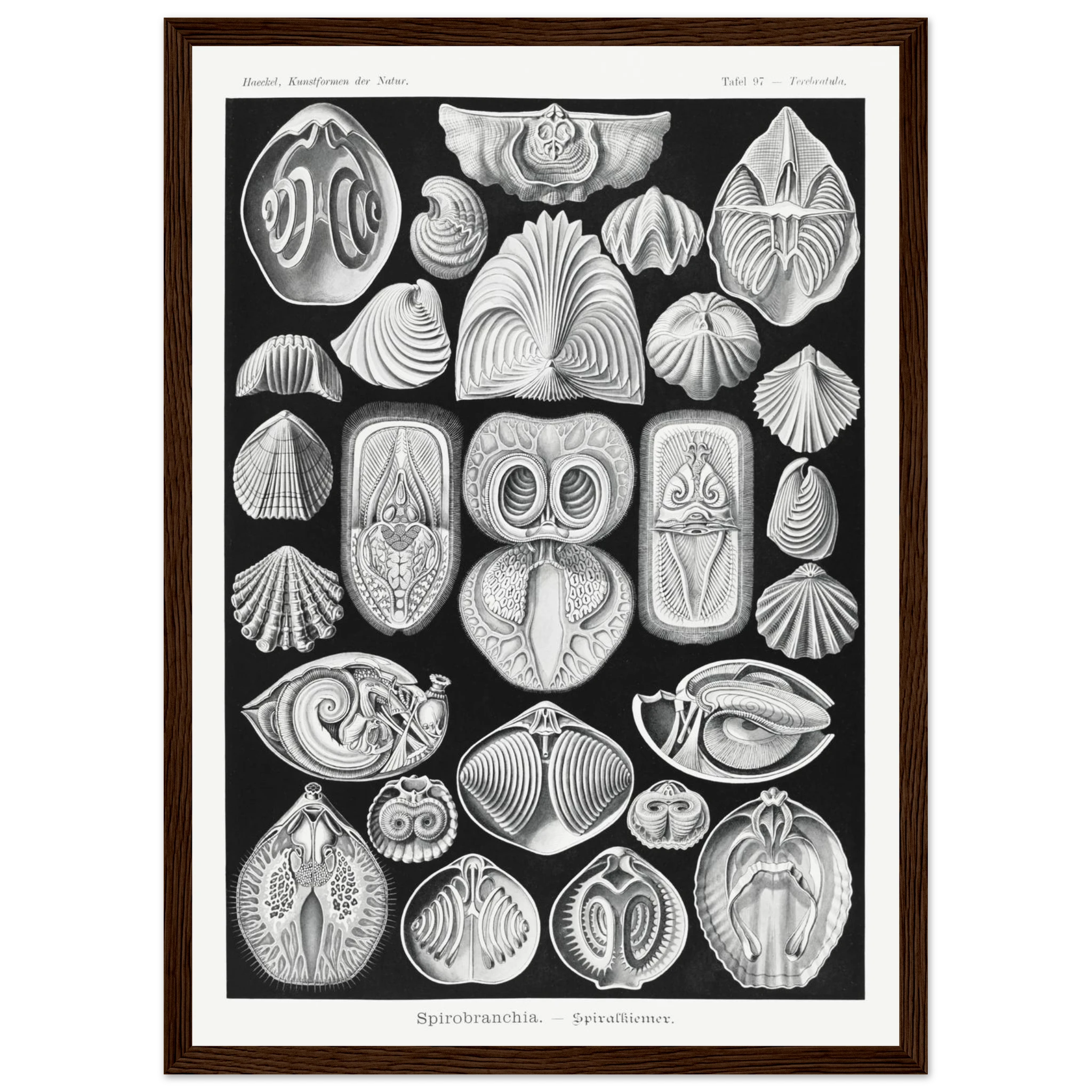 21000046-df2c-4df0-90e7-0aacb9586485