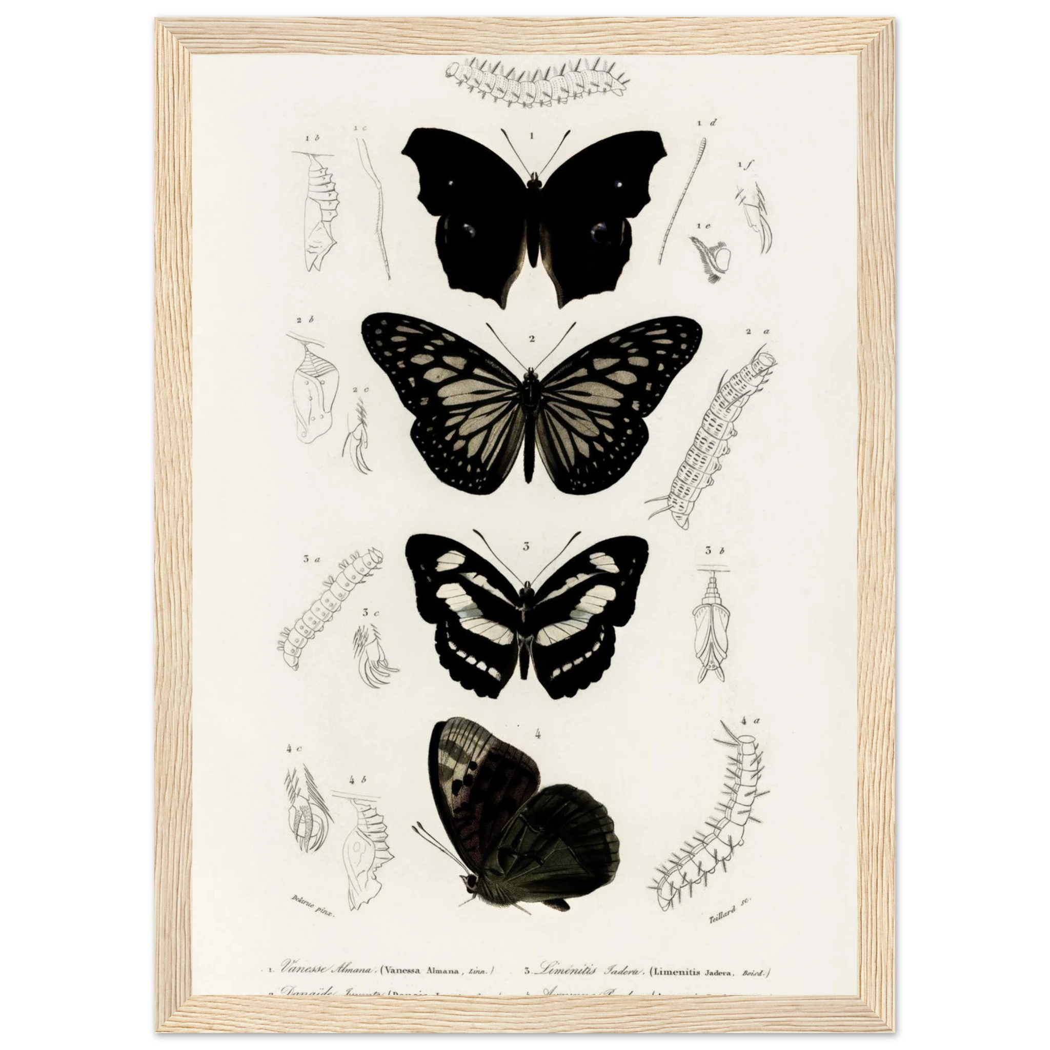 21301a1a-9798-481e-bea4-183e73ba28af