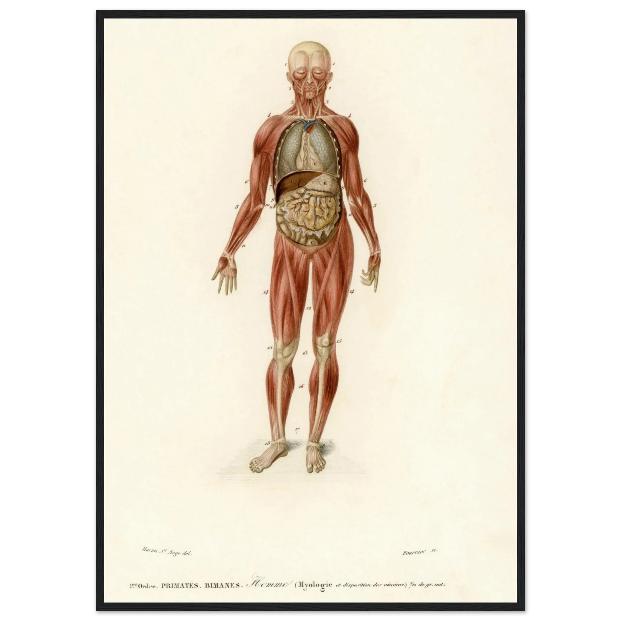 215efaa1-4118-45e7-9ca5-d032a59287db