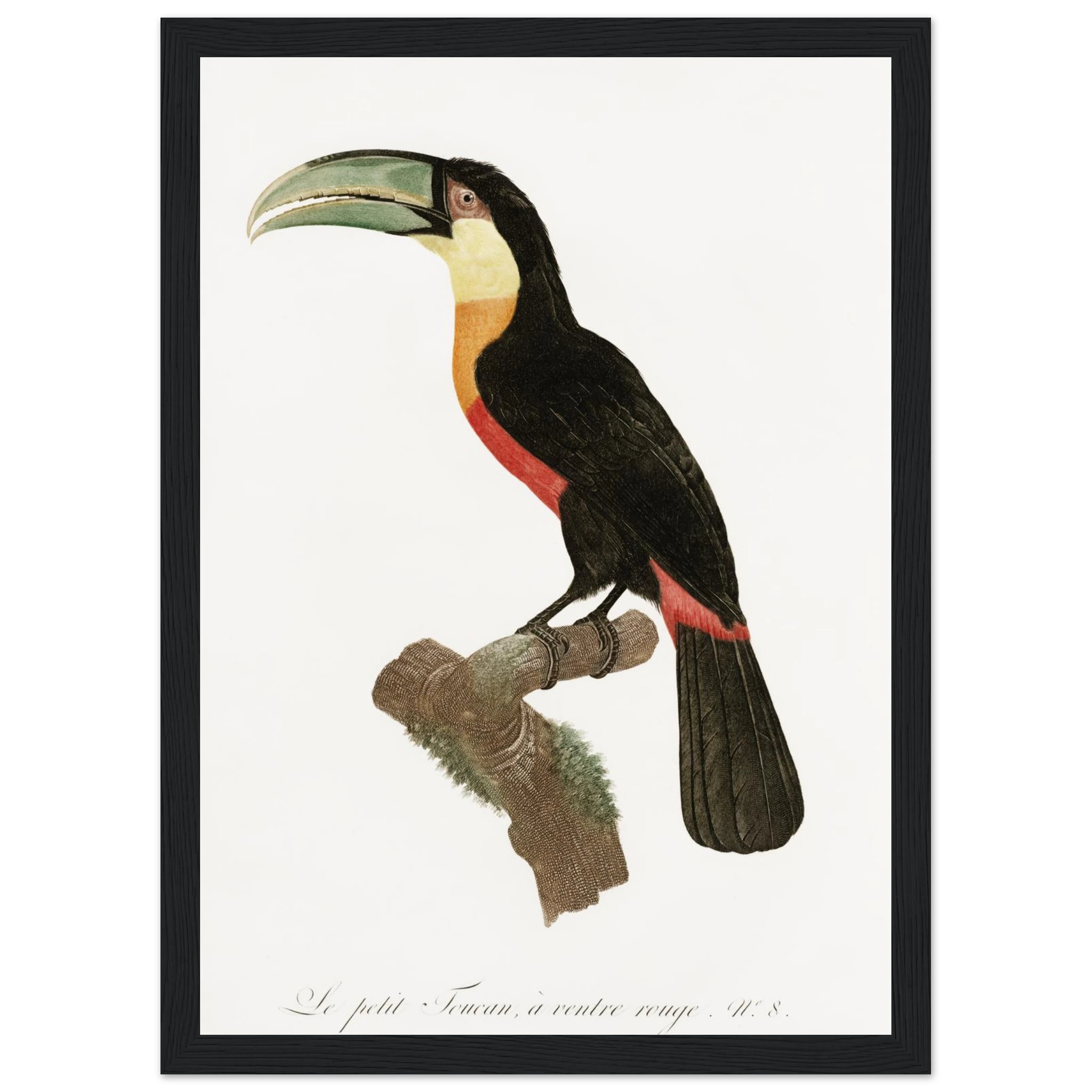 2161bd48-4ded-427c-84e6-55a228cf0f2d