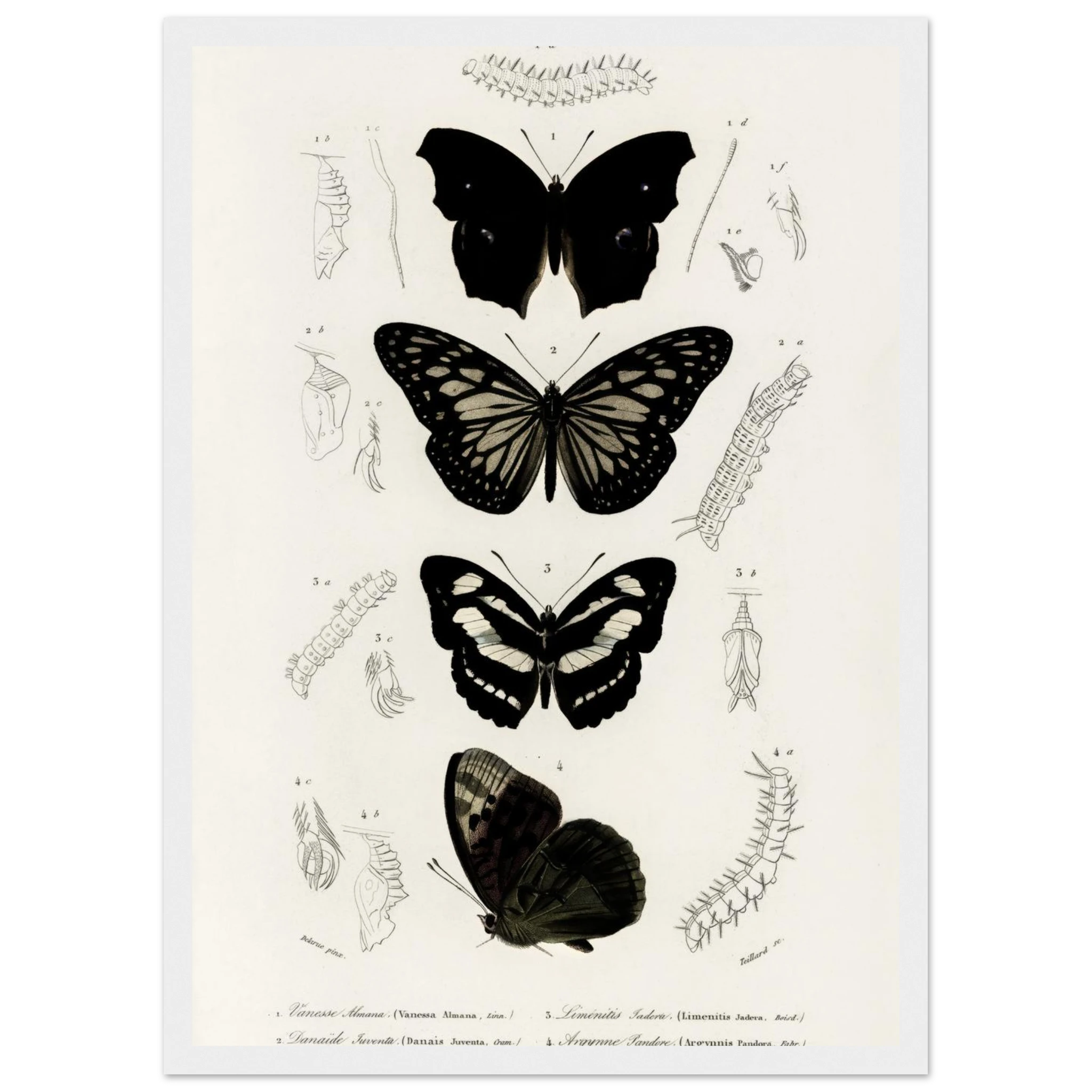 217cd048-f665-4d58-8943-f485d63eac00