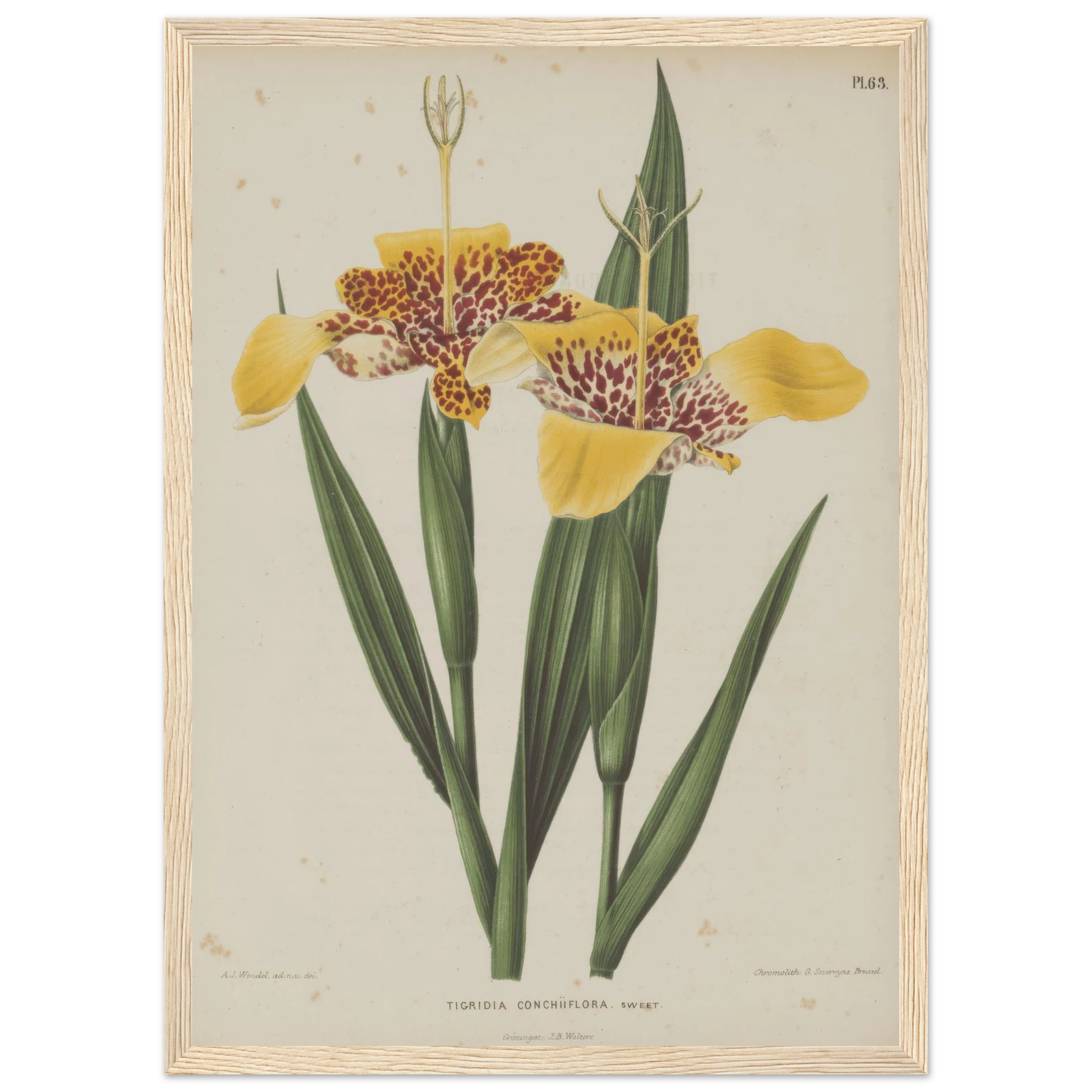 219dfc12-702e-496c-bca3-66631ba302f7