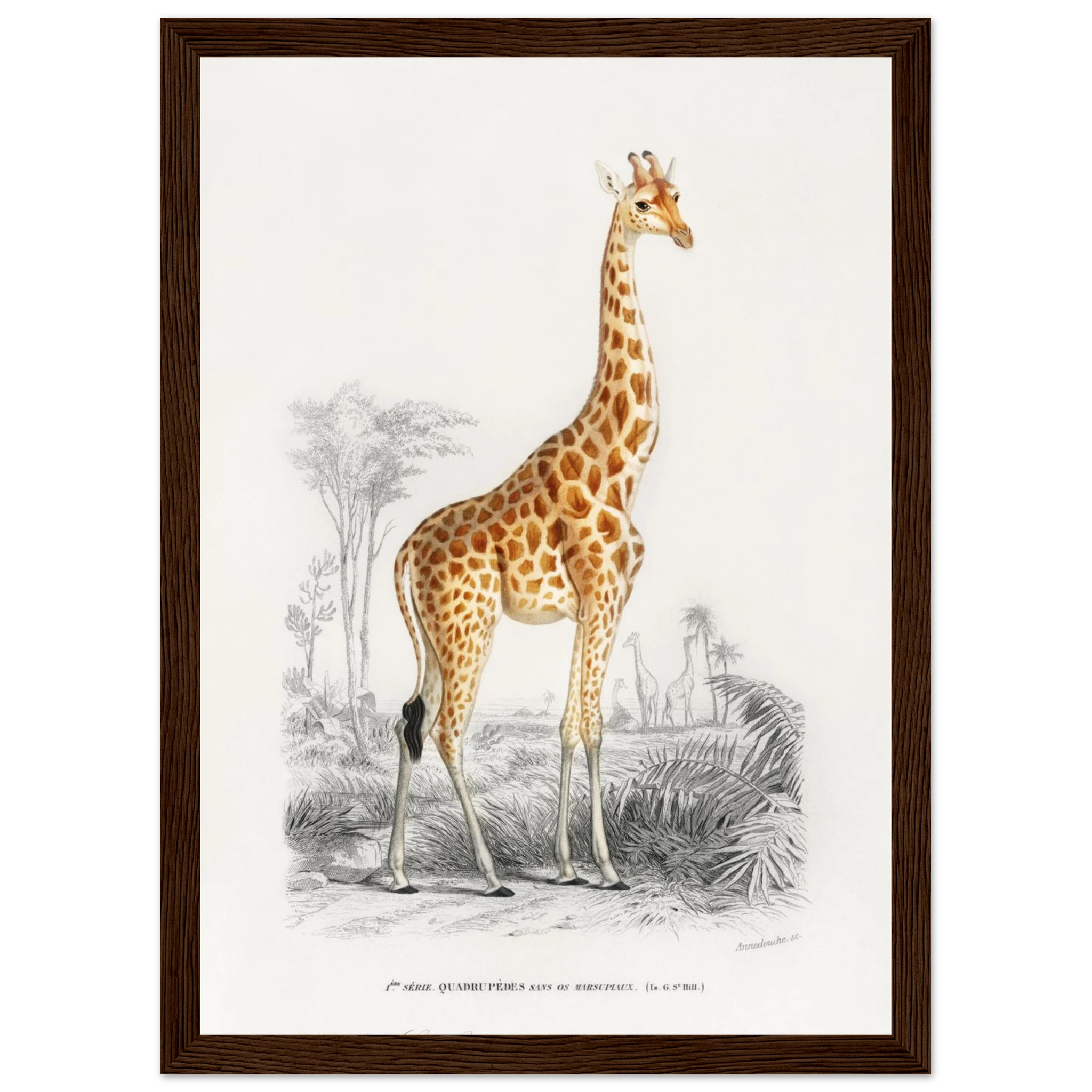 21a73f66-c07e-4fad-a10e-1bf796319330