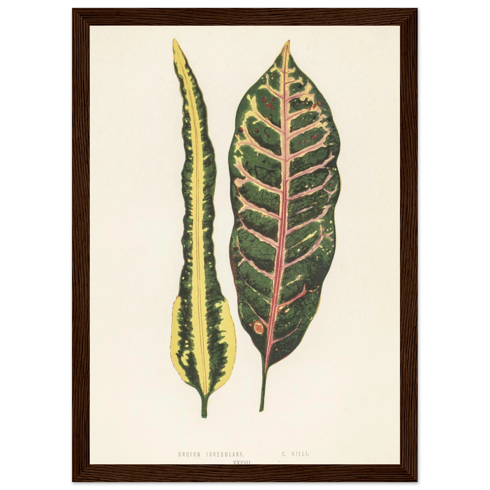 21e00ca3-7631-401c-a7fd-86fe90379d28