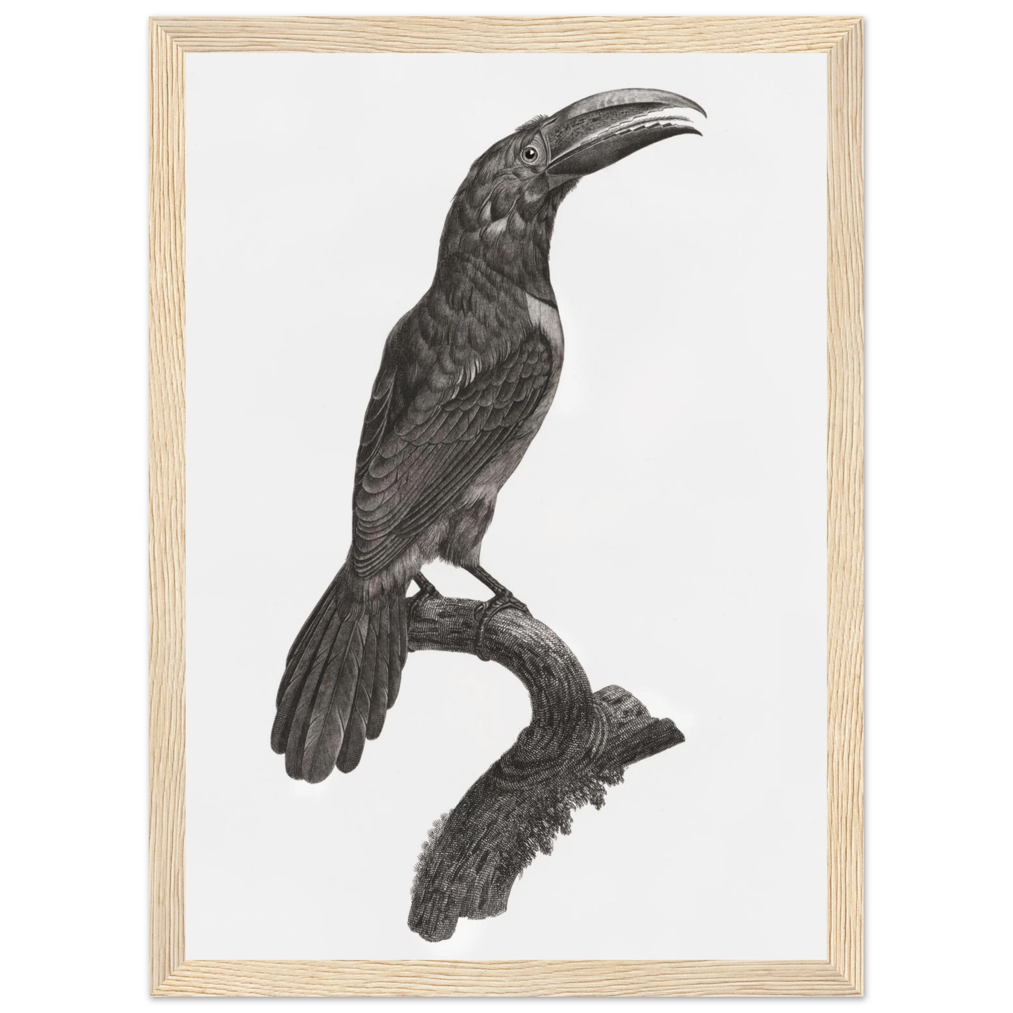 2215dcd1-b23b-495e-8fc3-40ac52e14028