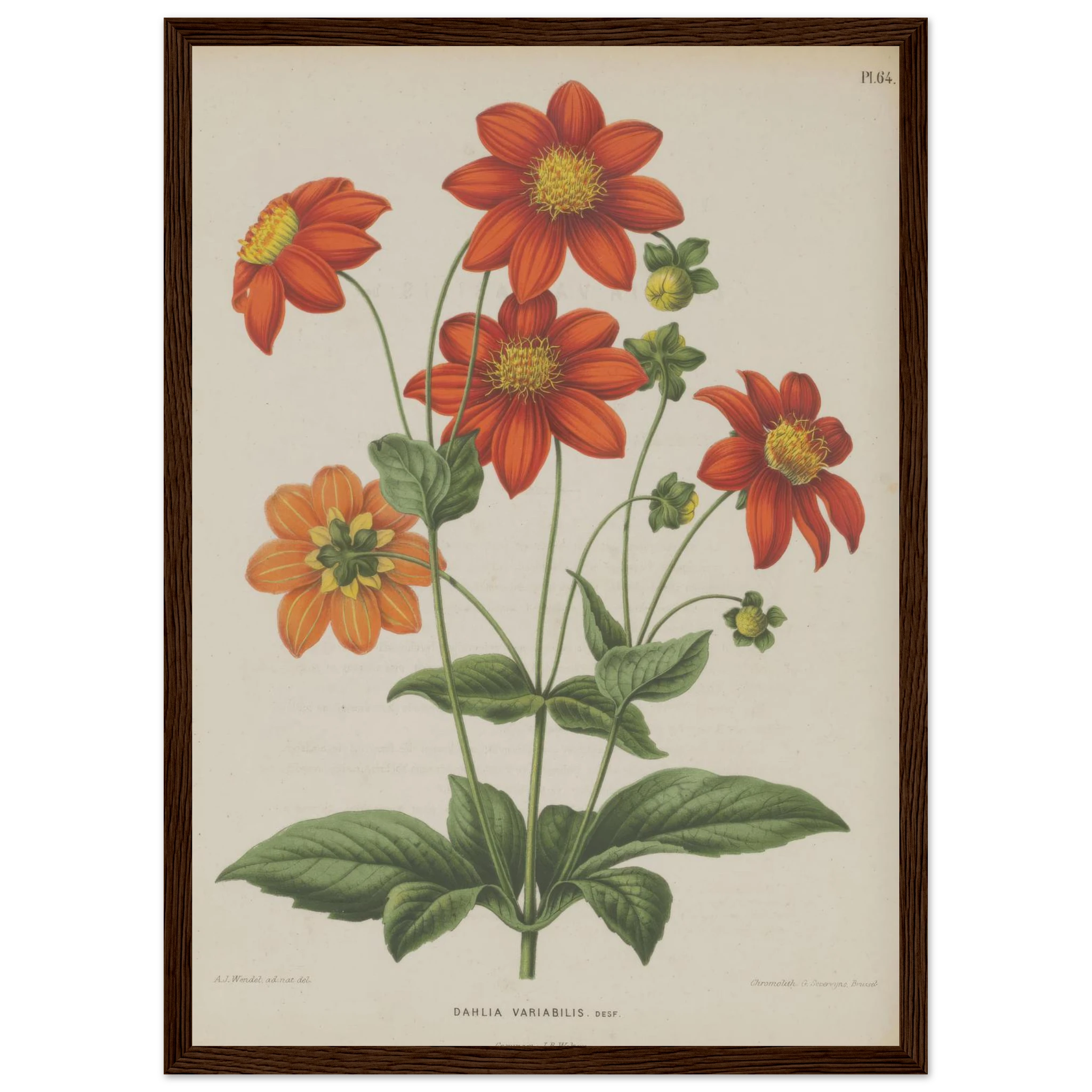 222a77e0-4ebe-4d0a-b2b6-a860f74faf0c