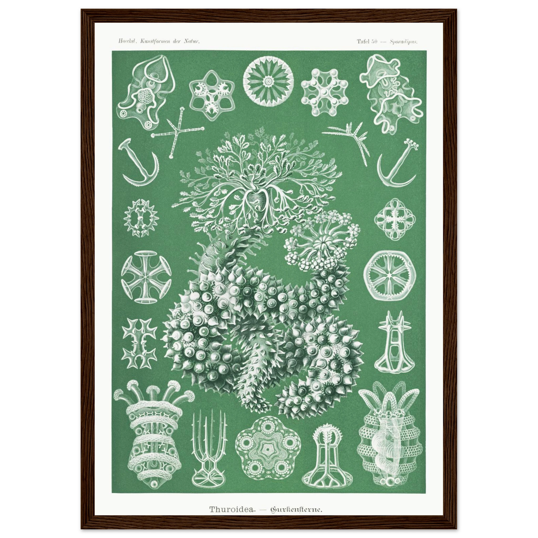 224424f5-5b7e-4fd8-a36a-a0c5a093192a