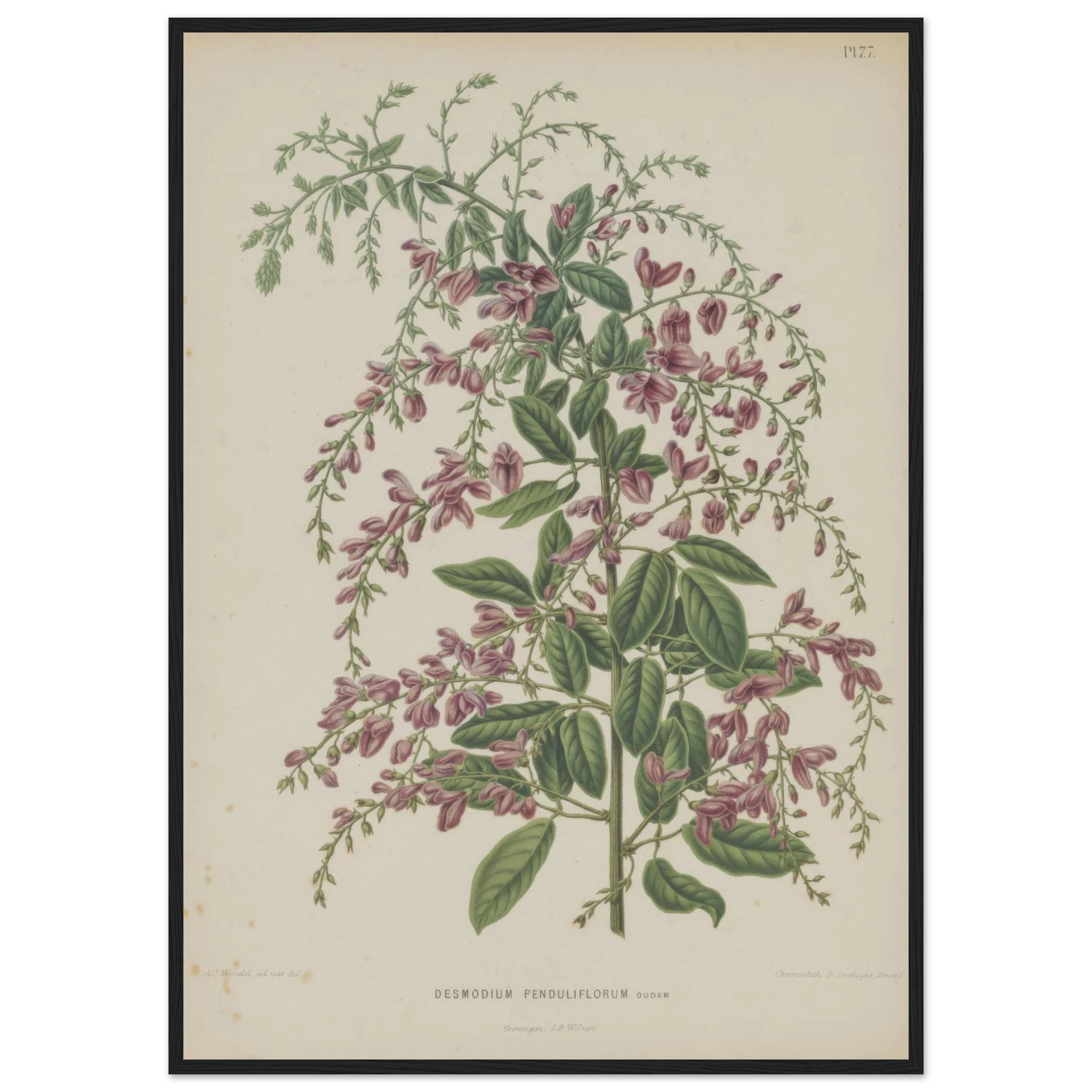 22943314-350e-4c54-b359-5838a90d09b4