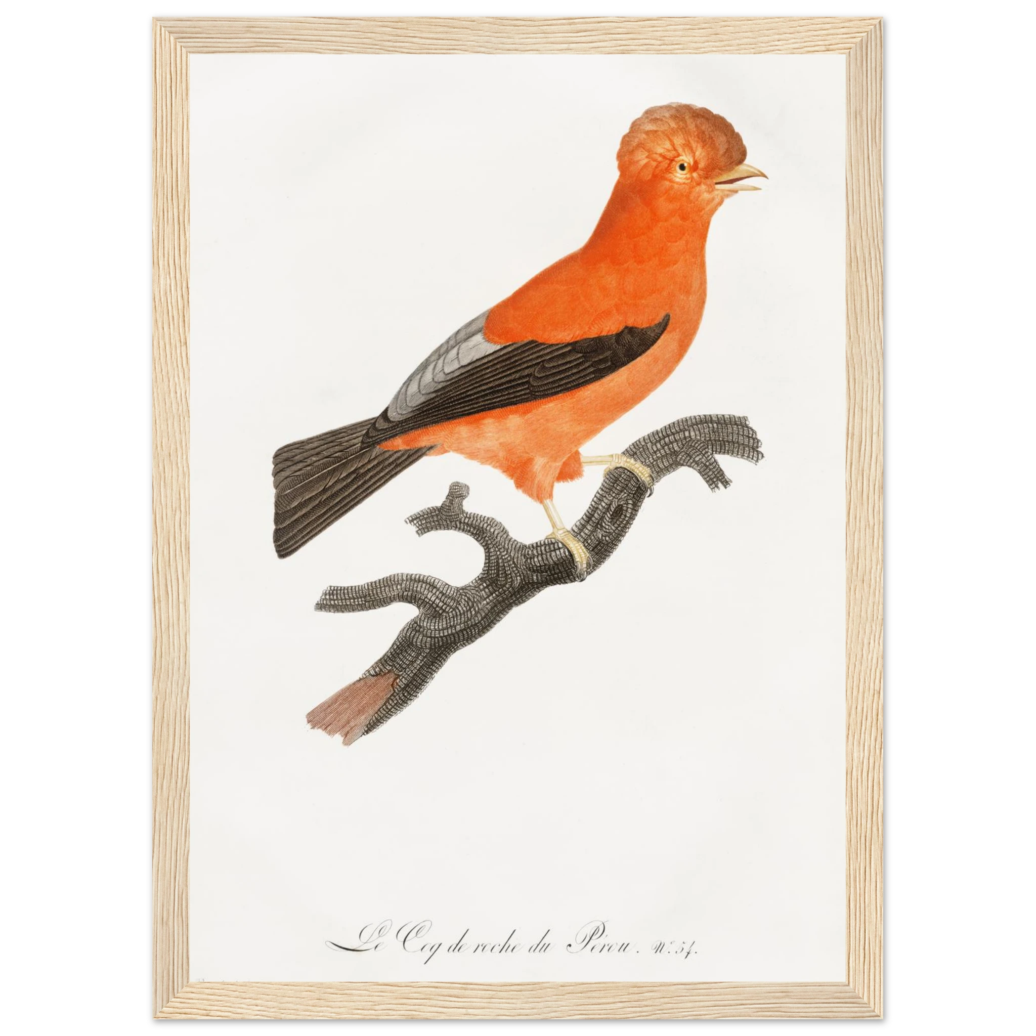 22b09d53-66d5-47df-9c5d-ae47ecf8ac89