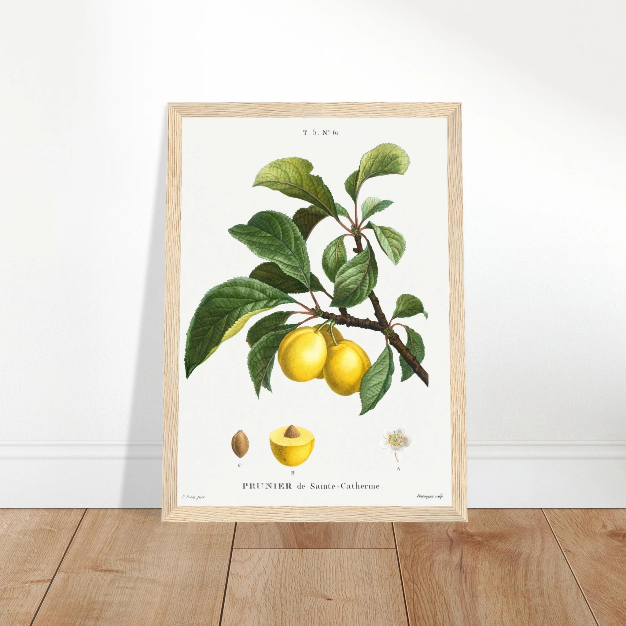 2329a99a-0146-4c8a-b785-7923e4566b90