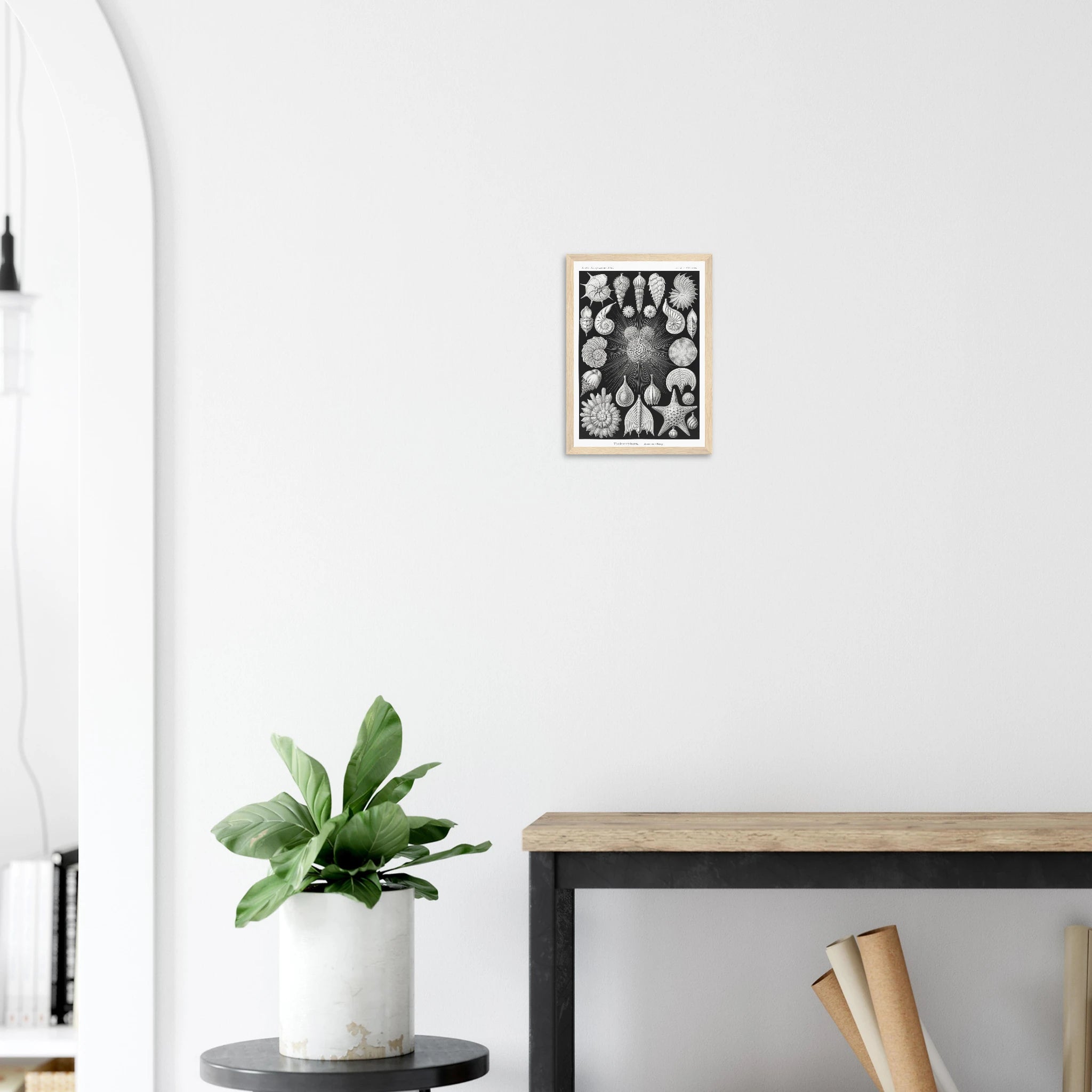 23913b52-ca43-4802-b862-06ccc4dee403