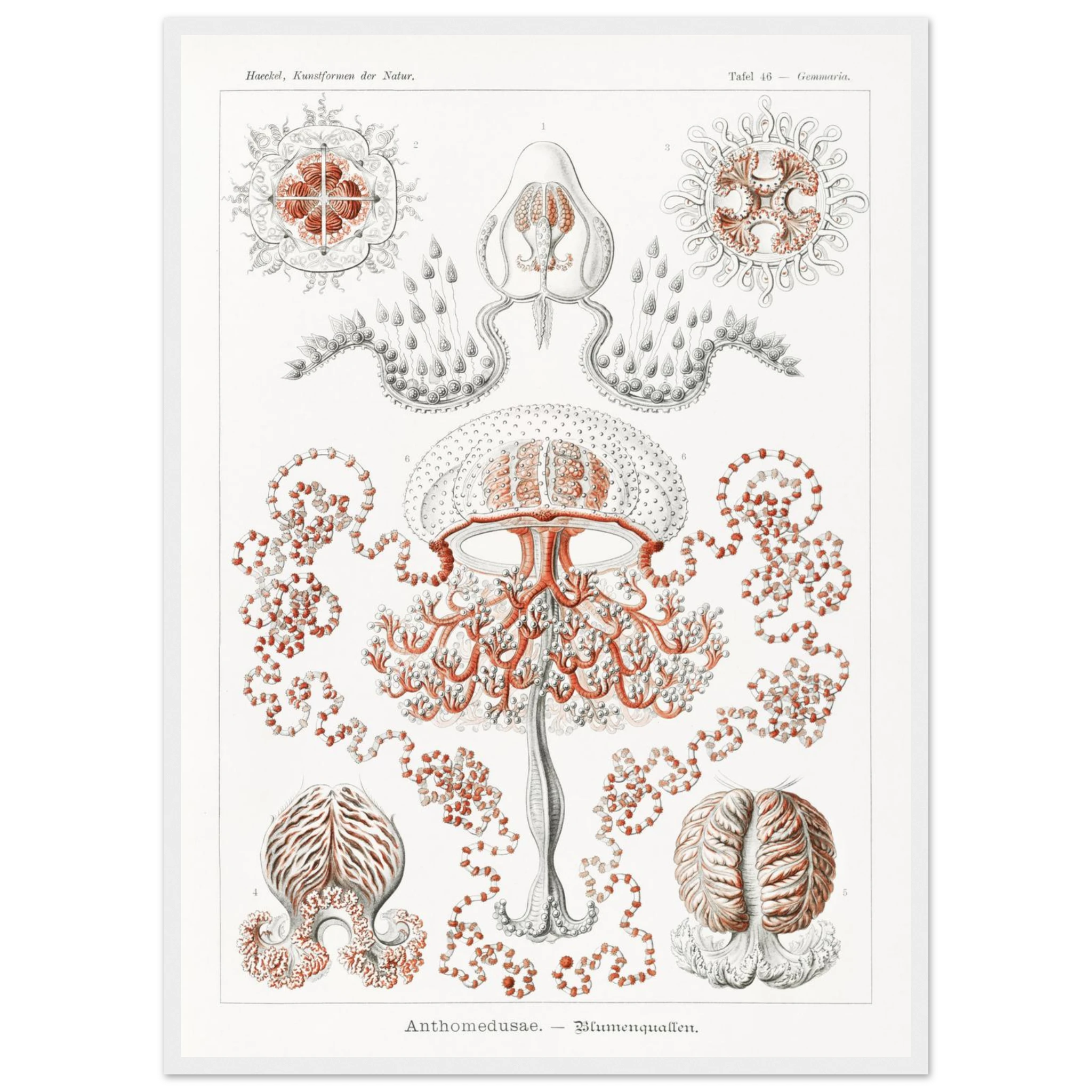 239495c8-1bfb-43d7-b466-1bcf5dad129c