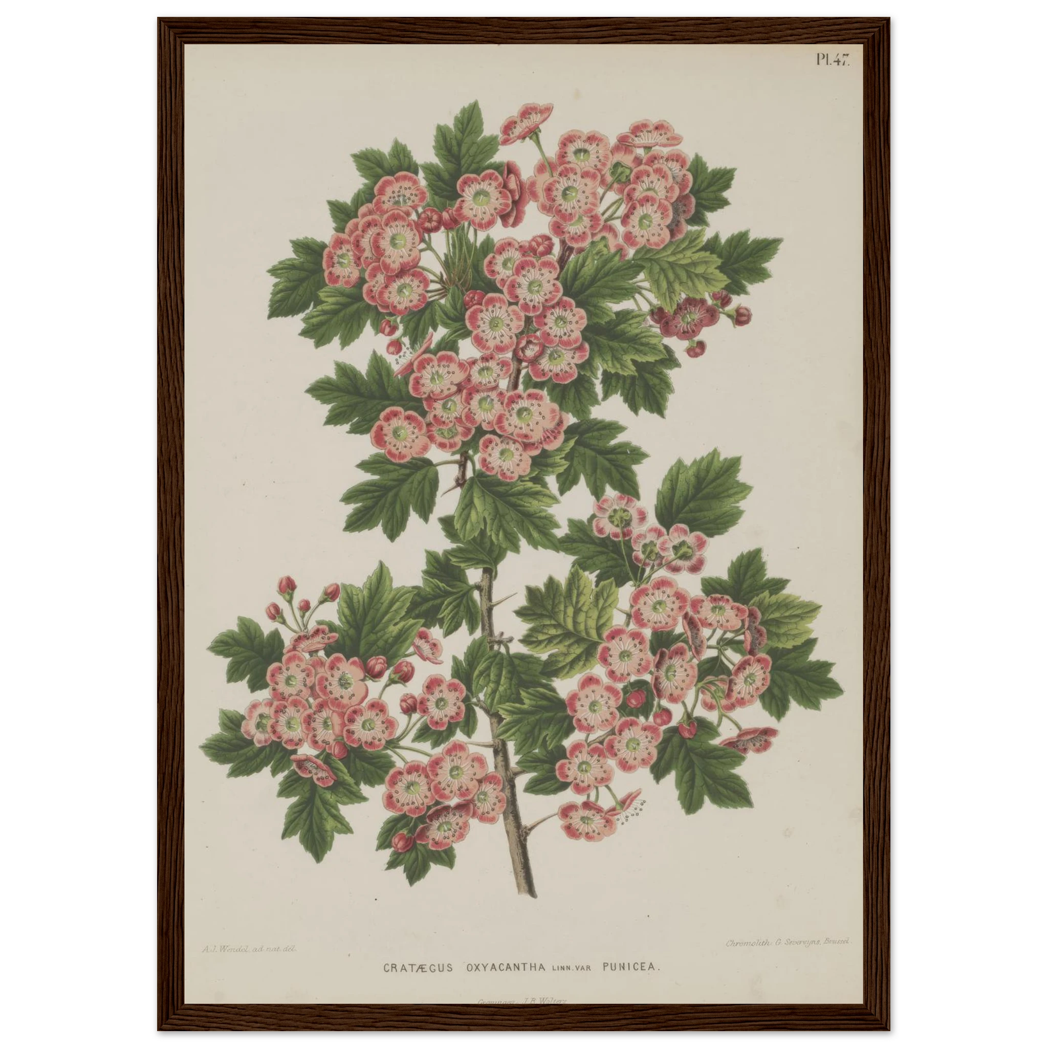 23a95fd3-e67f-41c6-b023-dcaab086a87a