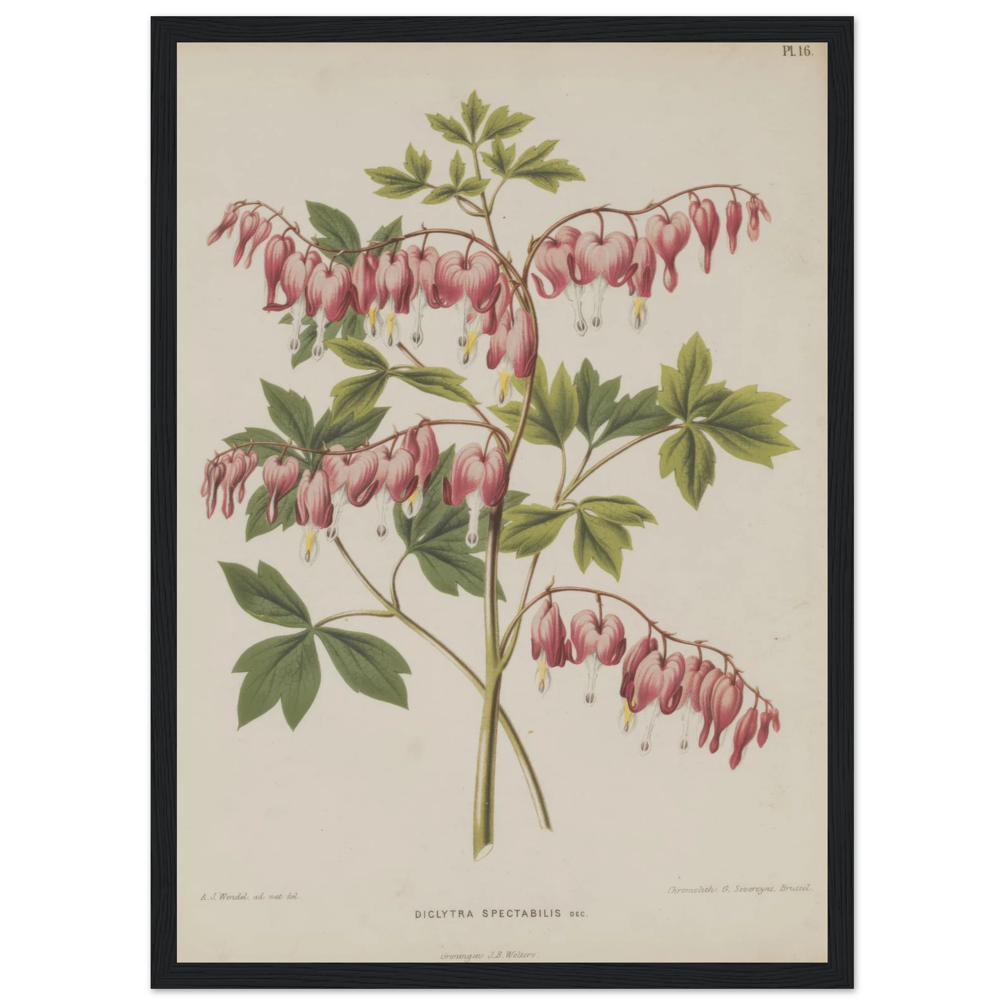 23af39c6-0922-43f6-be7e-f4667b7b6d2a