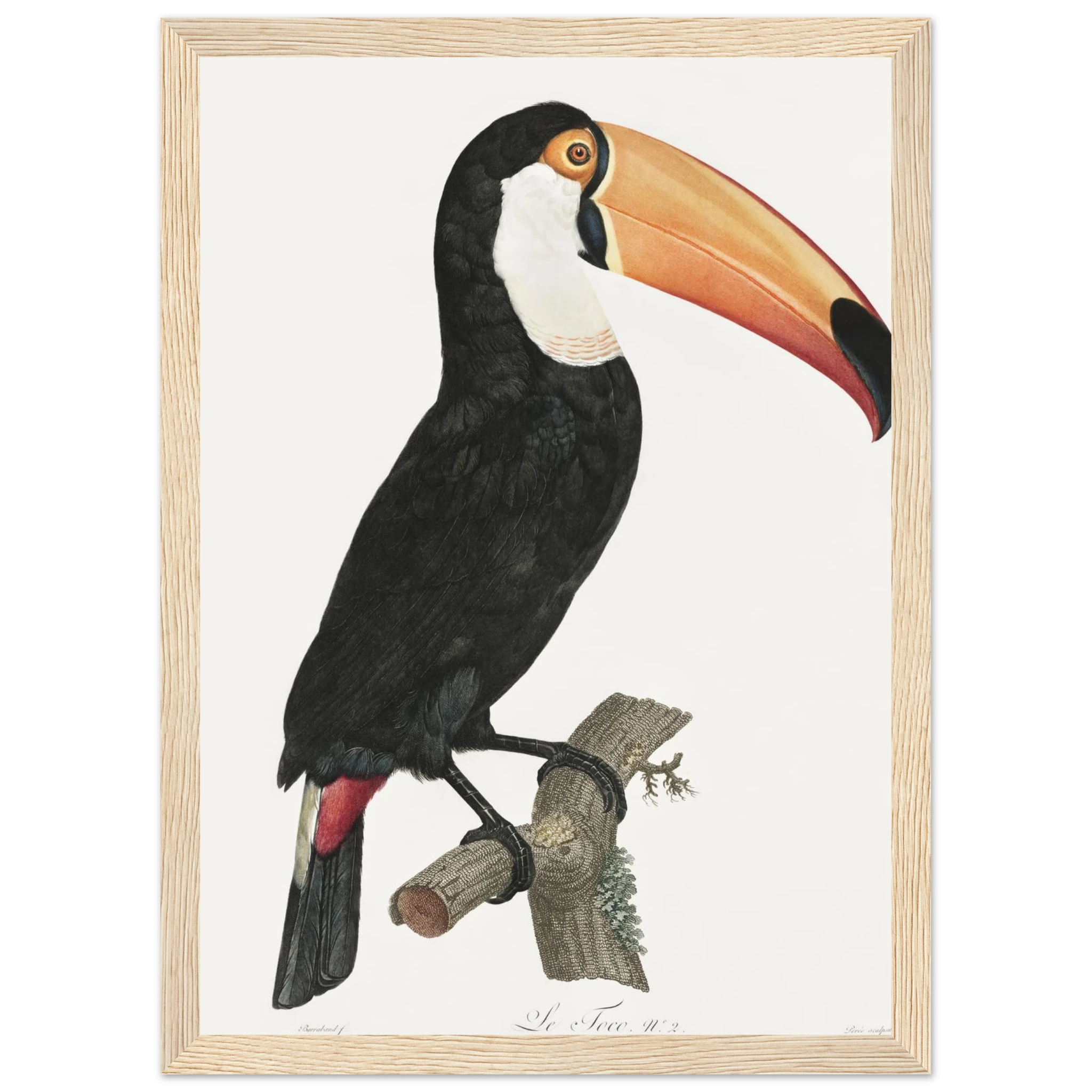 2427c01c-2efd-49bf-8d81-f24429eb393f