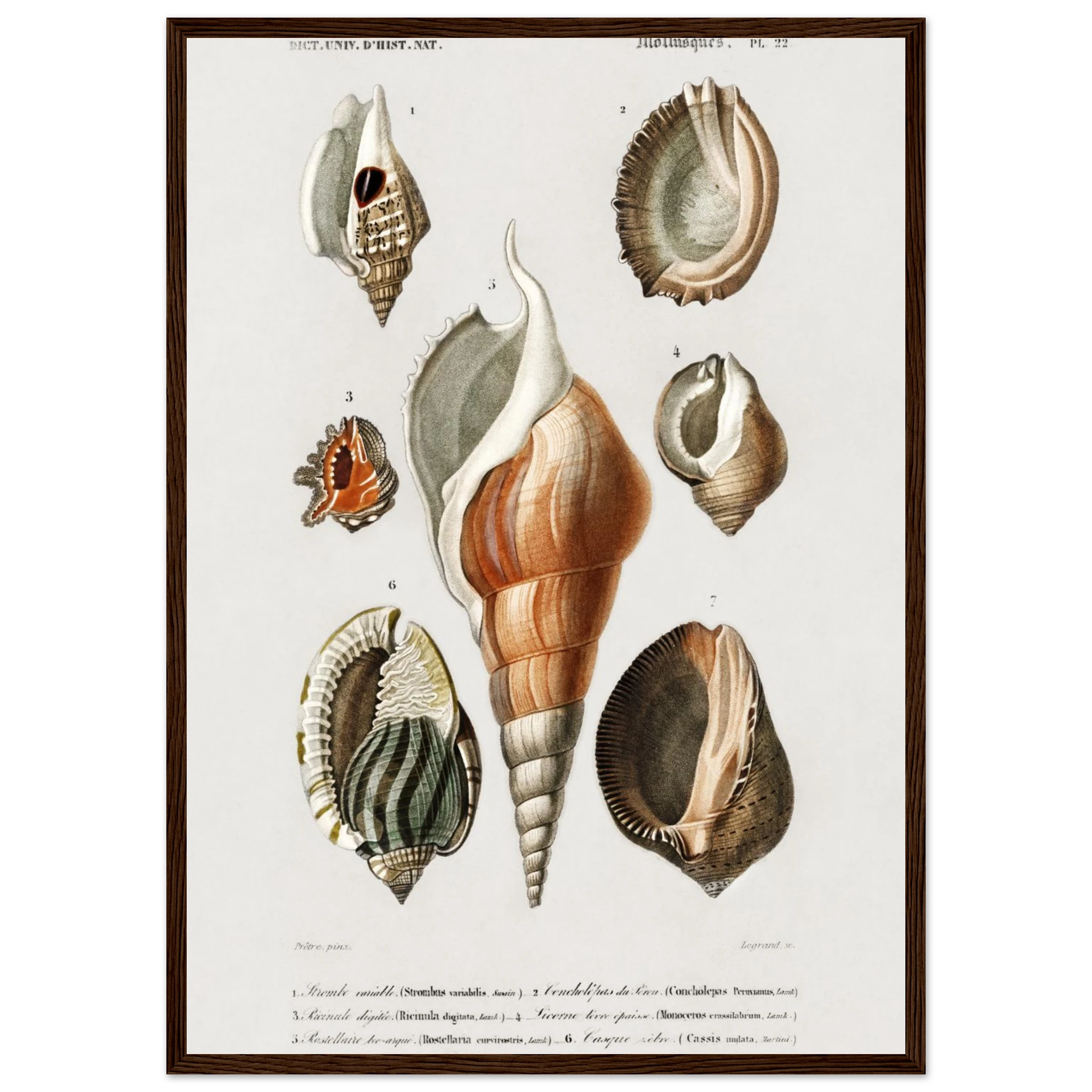 24471f1a-1df8-4233-9f69-2daf00f9fd7f