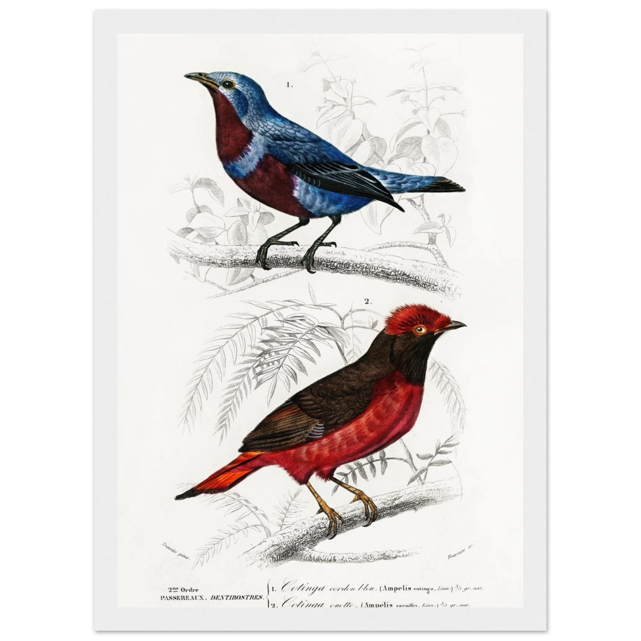 2464ac8b-ed85-4ece-8f75-941f87a79c8d