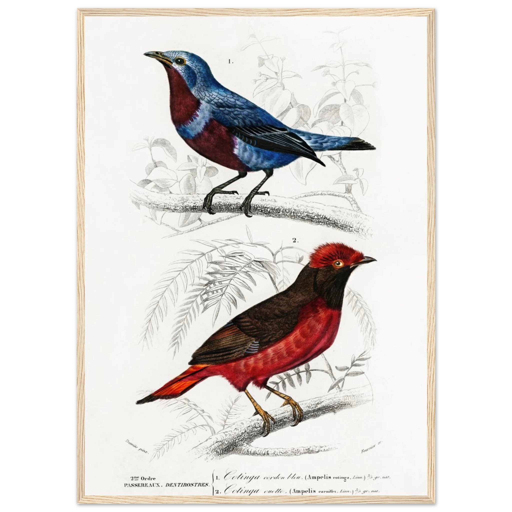 24b65852-4817-4742-a63c-0edba4ce3be6