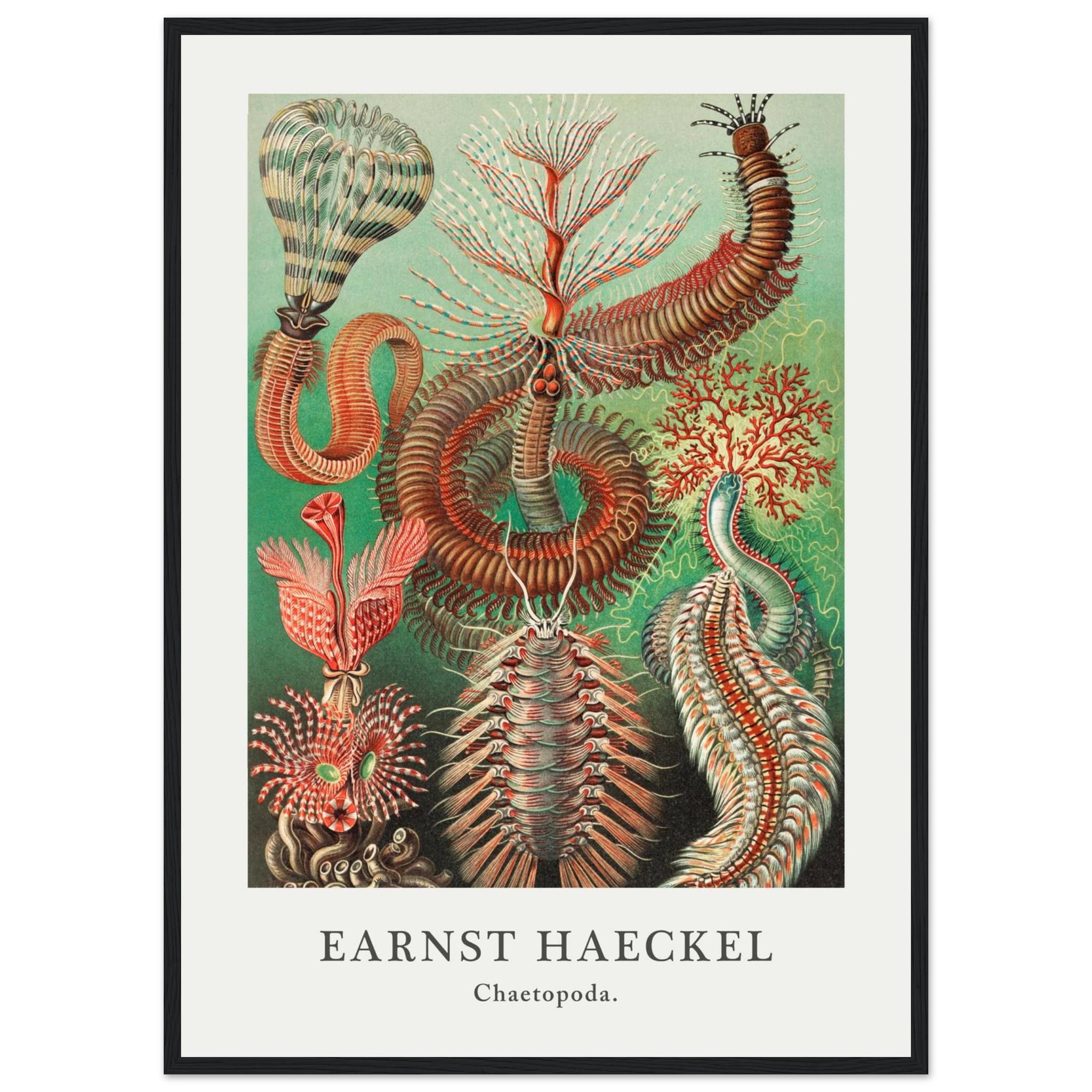 24b7b58a-cd14-47c8-8b09-e3cfcfc4af49