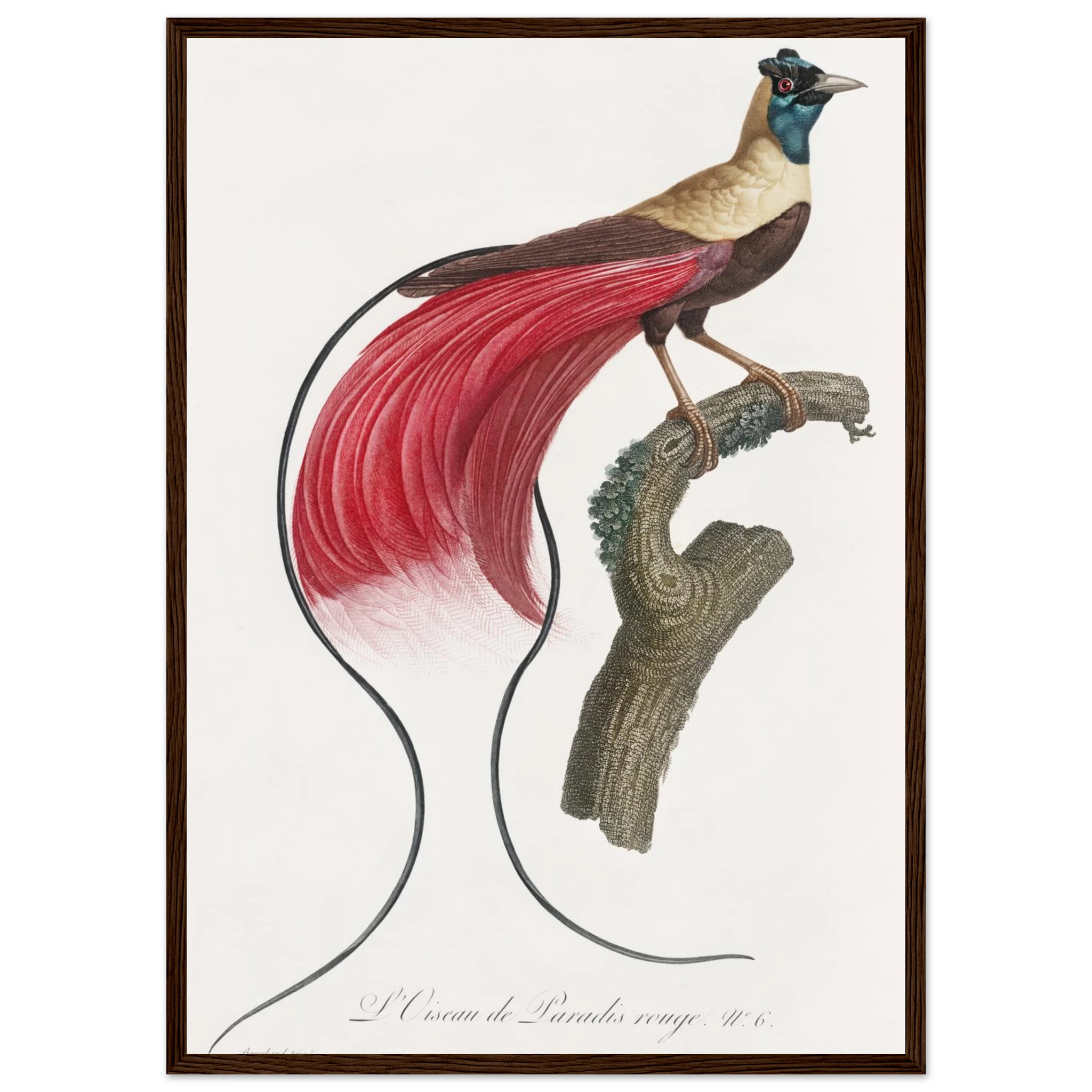 251b6ecb-0596-4e22-b8a4-c8d8cb3511cd