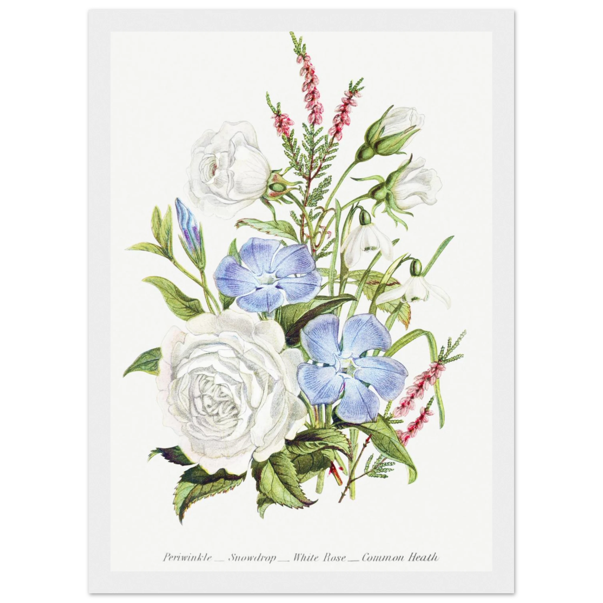 251f1bfb-584d-4940-a3ca-1f5600c41cd8