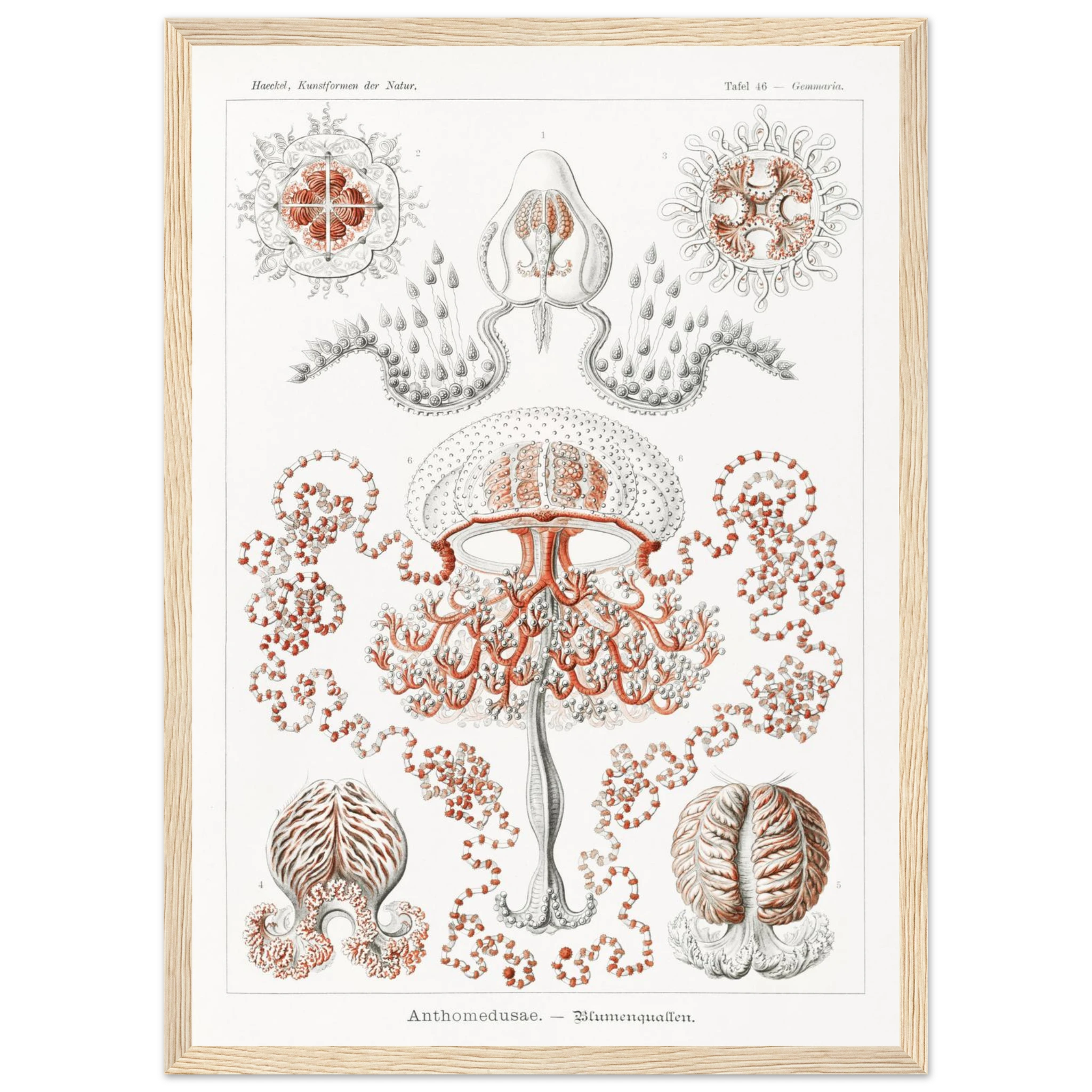 25251f9c-1cba-4b95-a3f1-588a92639878