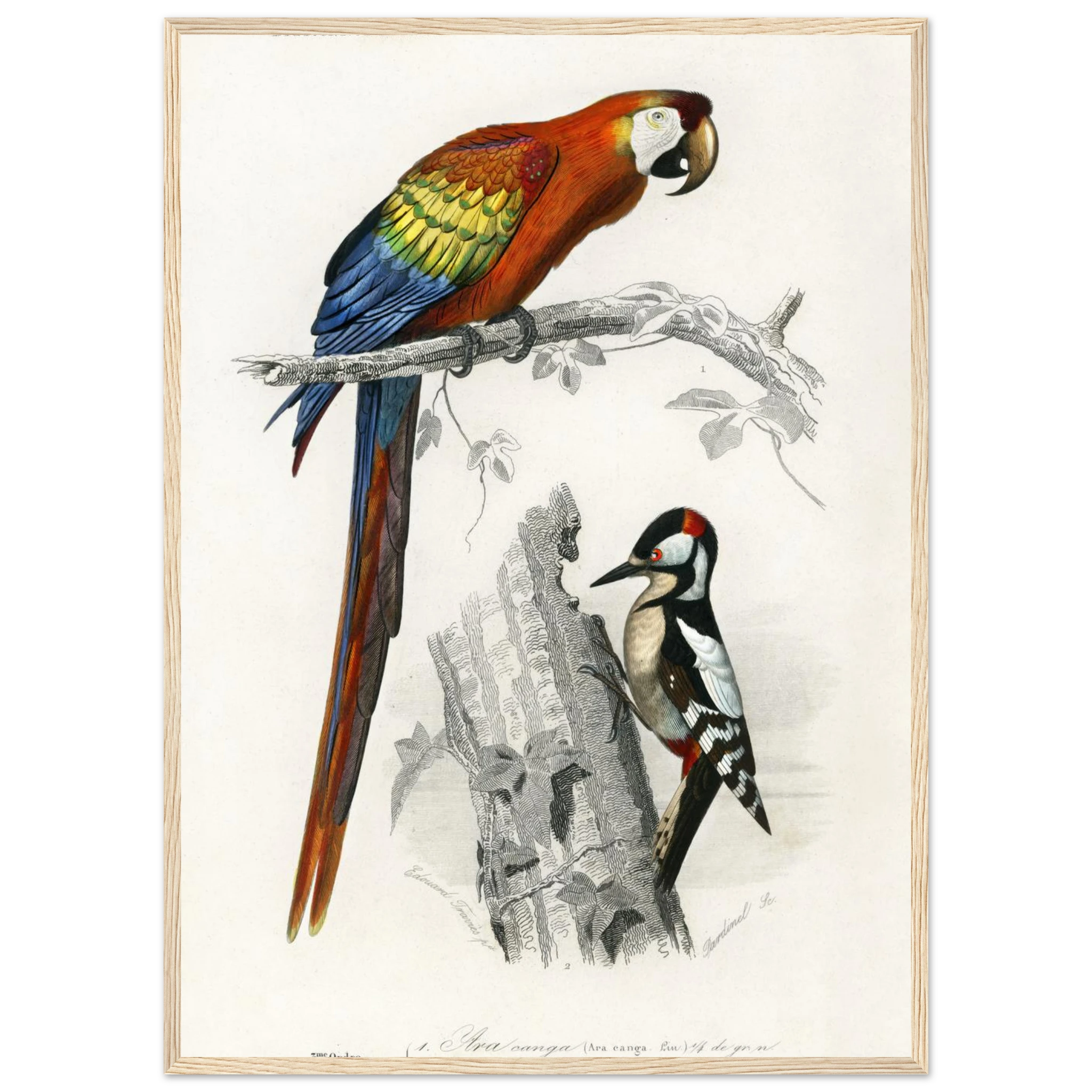 2529b5d0-9d7f-48a3-8e6e-7fe88967c5a1