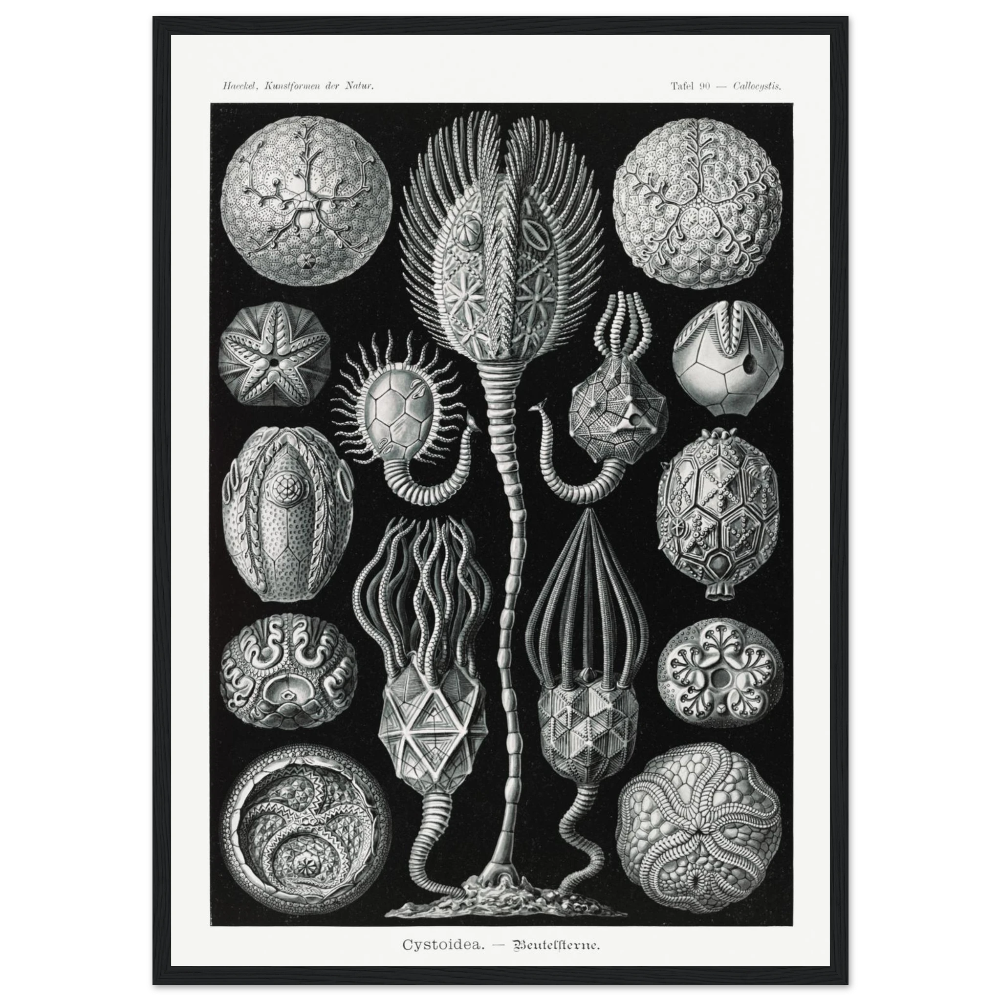 254234a2-ca18-46d6-81af-d924e5bed288