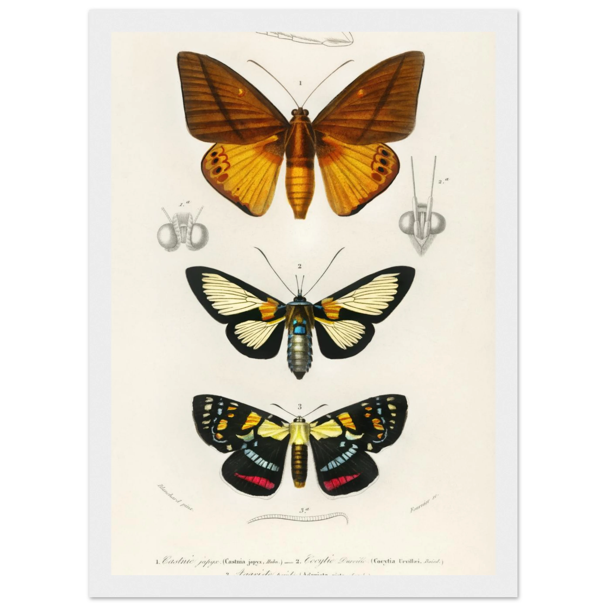 257d71bc-f3ff-401b-934a-bee6e54aac4e