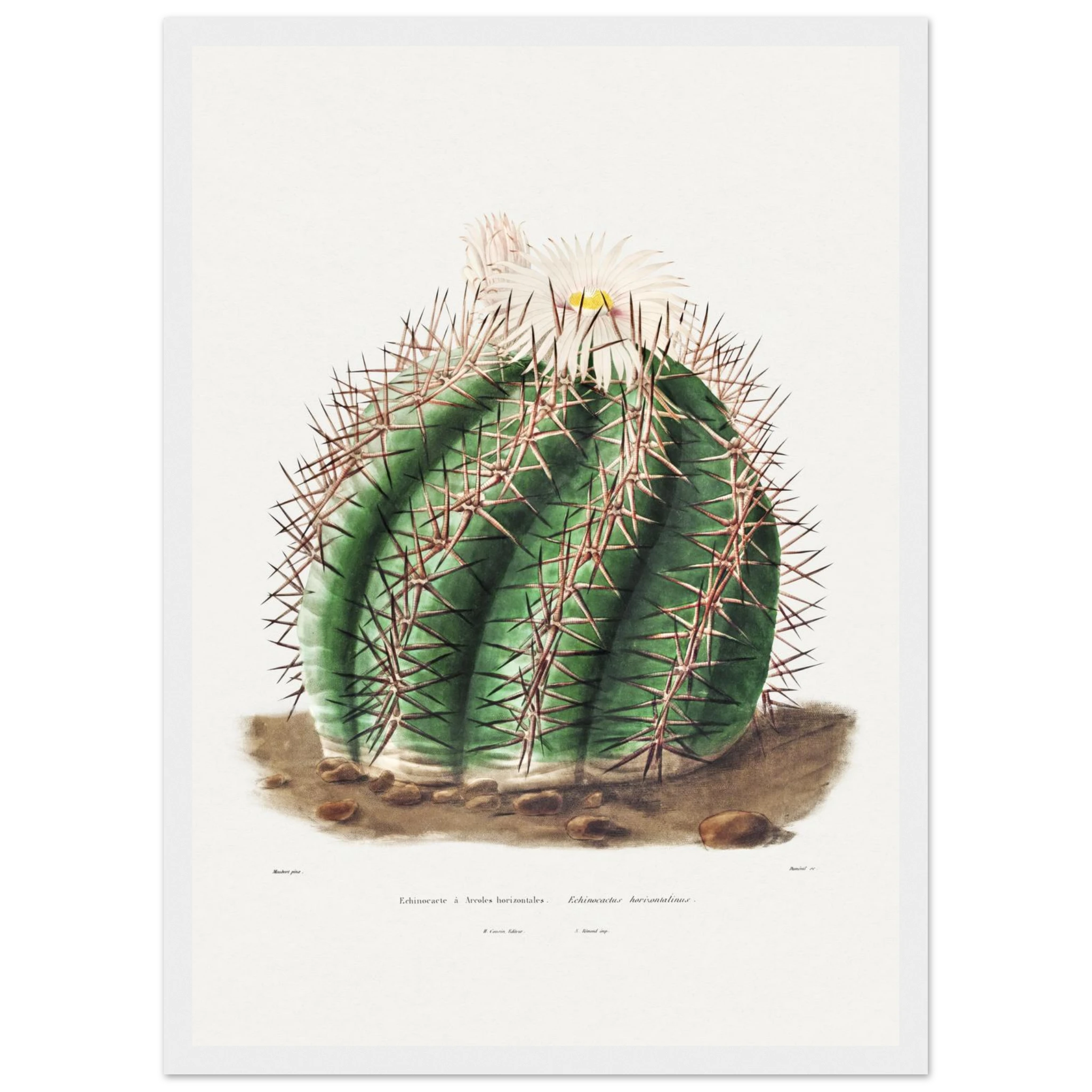 258e7c6d-3d77-4606-8256-9459f9394f12