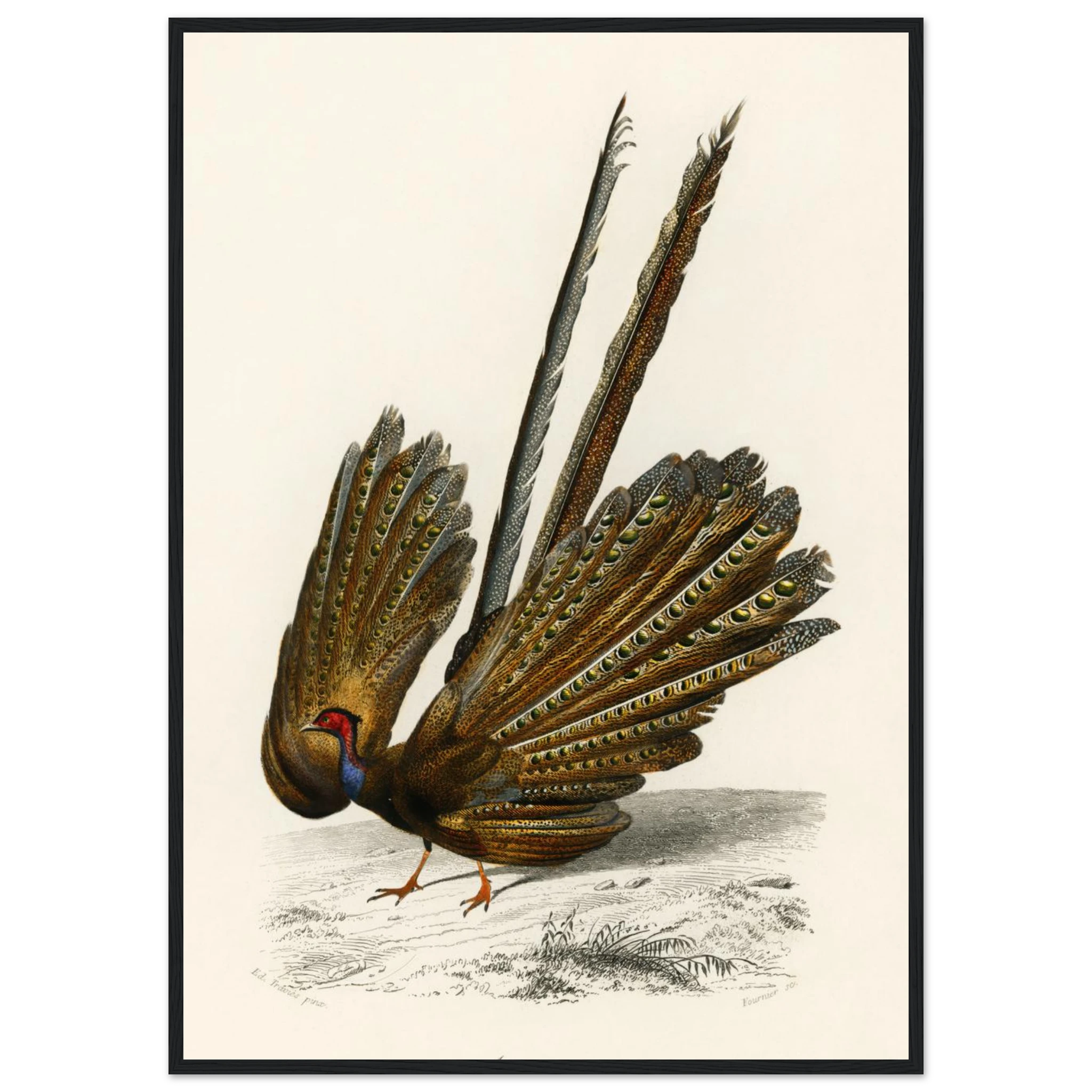 25ca0f6d-fe95-454d-851b-b3ee5683337a