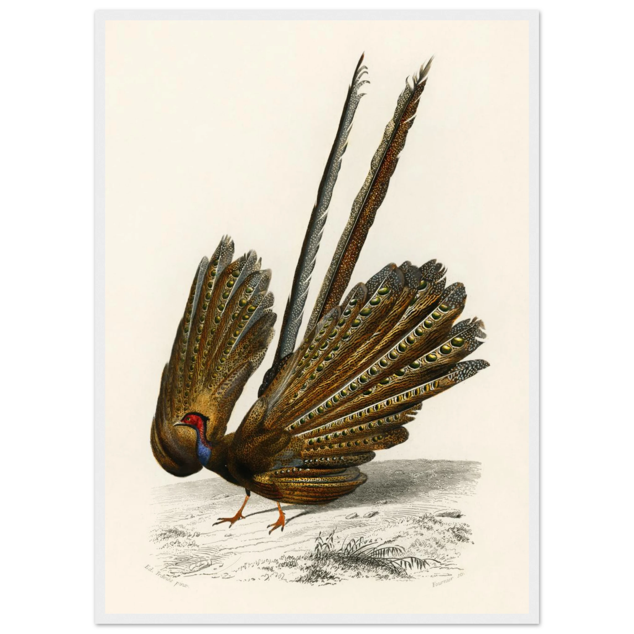 25d69821-c170-4117-b9e2-de1d527b5644