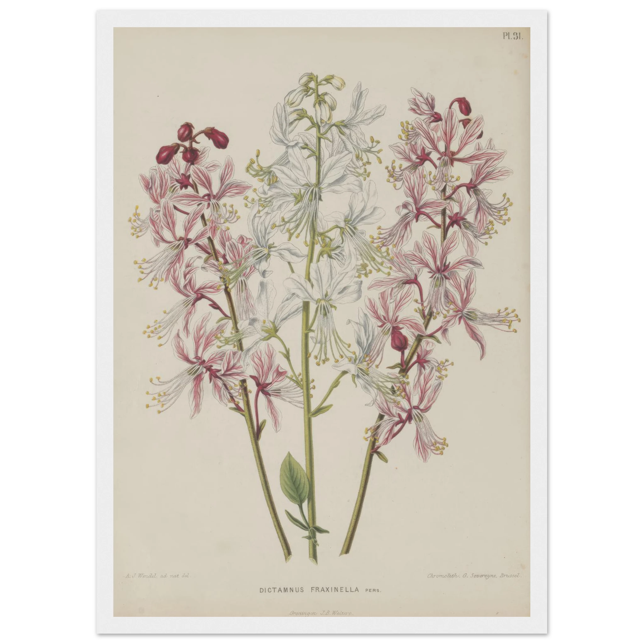 25f81e38-54fe-4e11-81b6-b10d394e6ebd