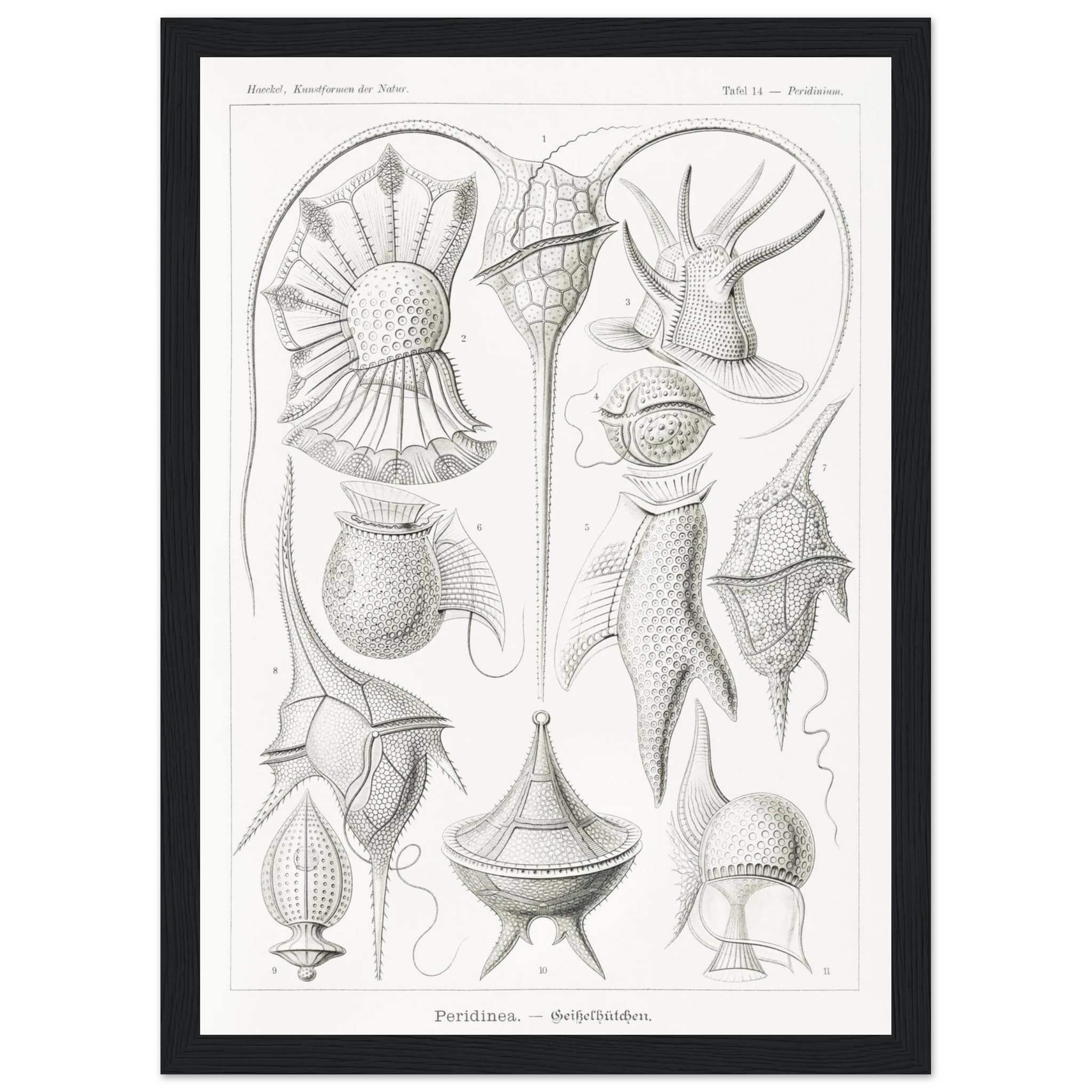 26113e59-c99d-480d-b9c6-c8f17e780f95