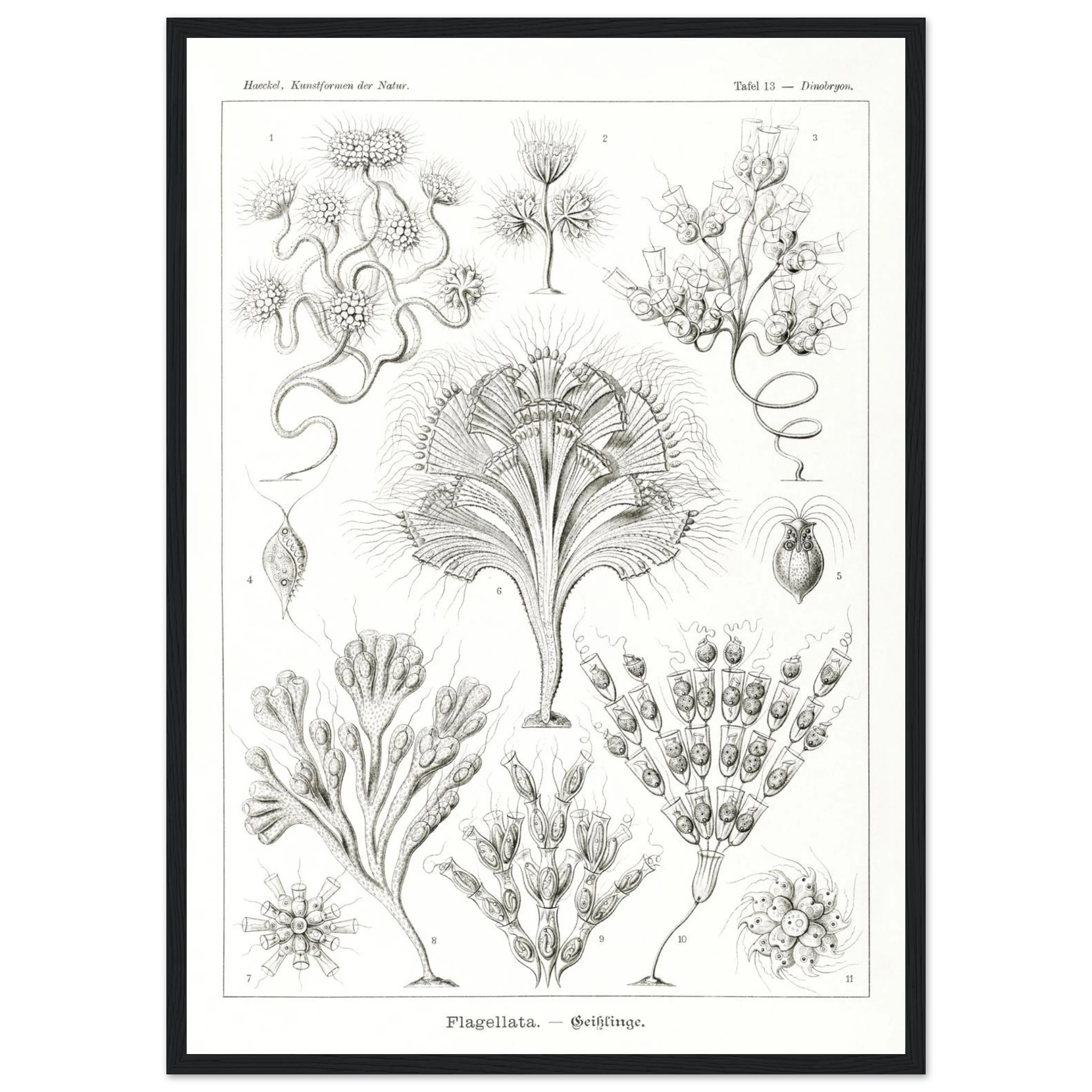 26584033-17ef-4cd9-b8cb-a53eb76e9580